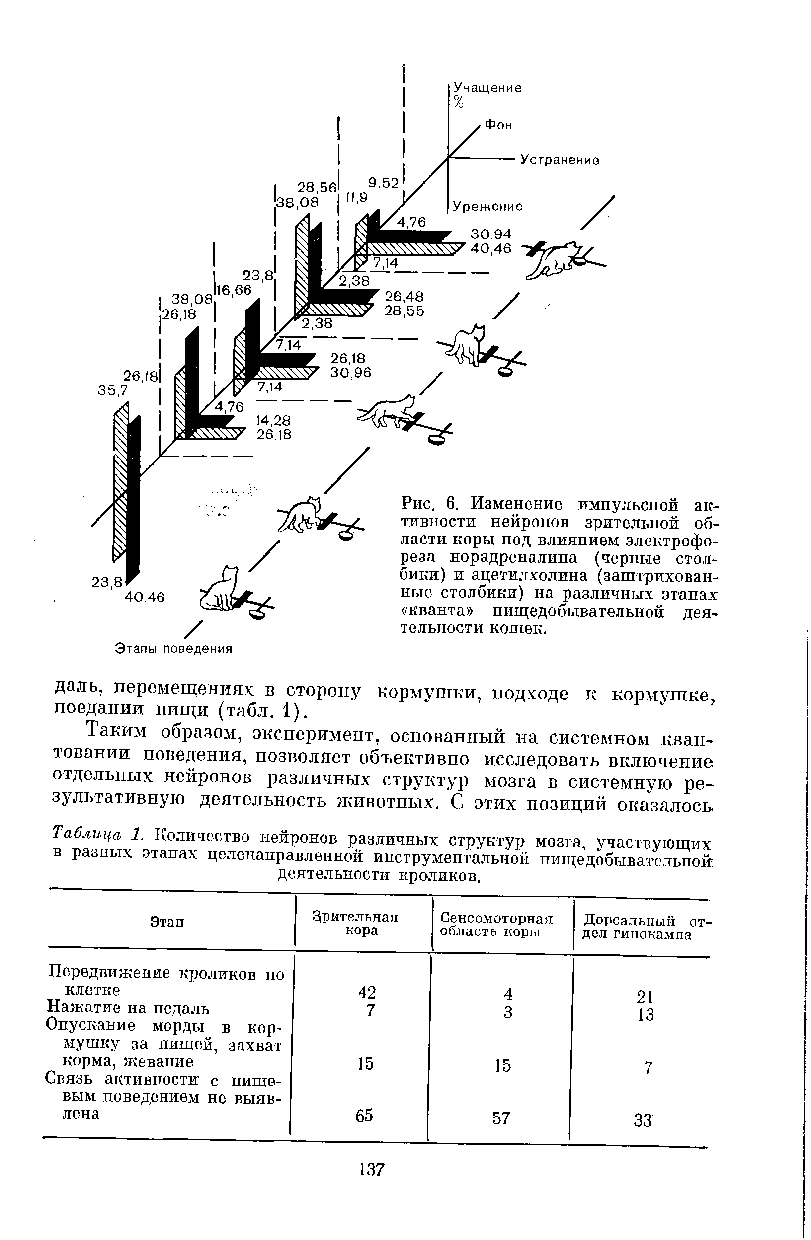 Таблица 1. Количество нейронов различных структур мозга, участвующих в разных этапах целенаправленной инструментальной пищедобывательной деятельности кроликов.