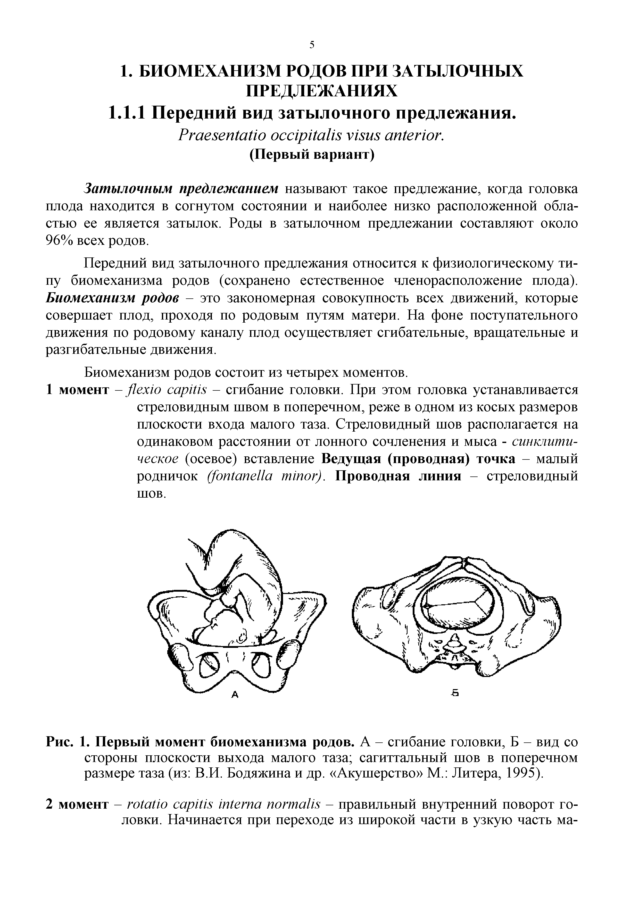 Рис. 1. Первый момент биомеханизма родов. А - сгибание головки, Б - вид со стороны плоскости выхода малого таза сагиттальный шов в поперечном размере таза (из В.И. Бодяжина и др. Акушерство М. Литера, 1995).