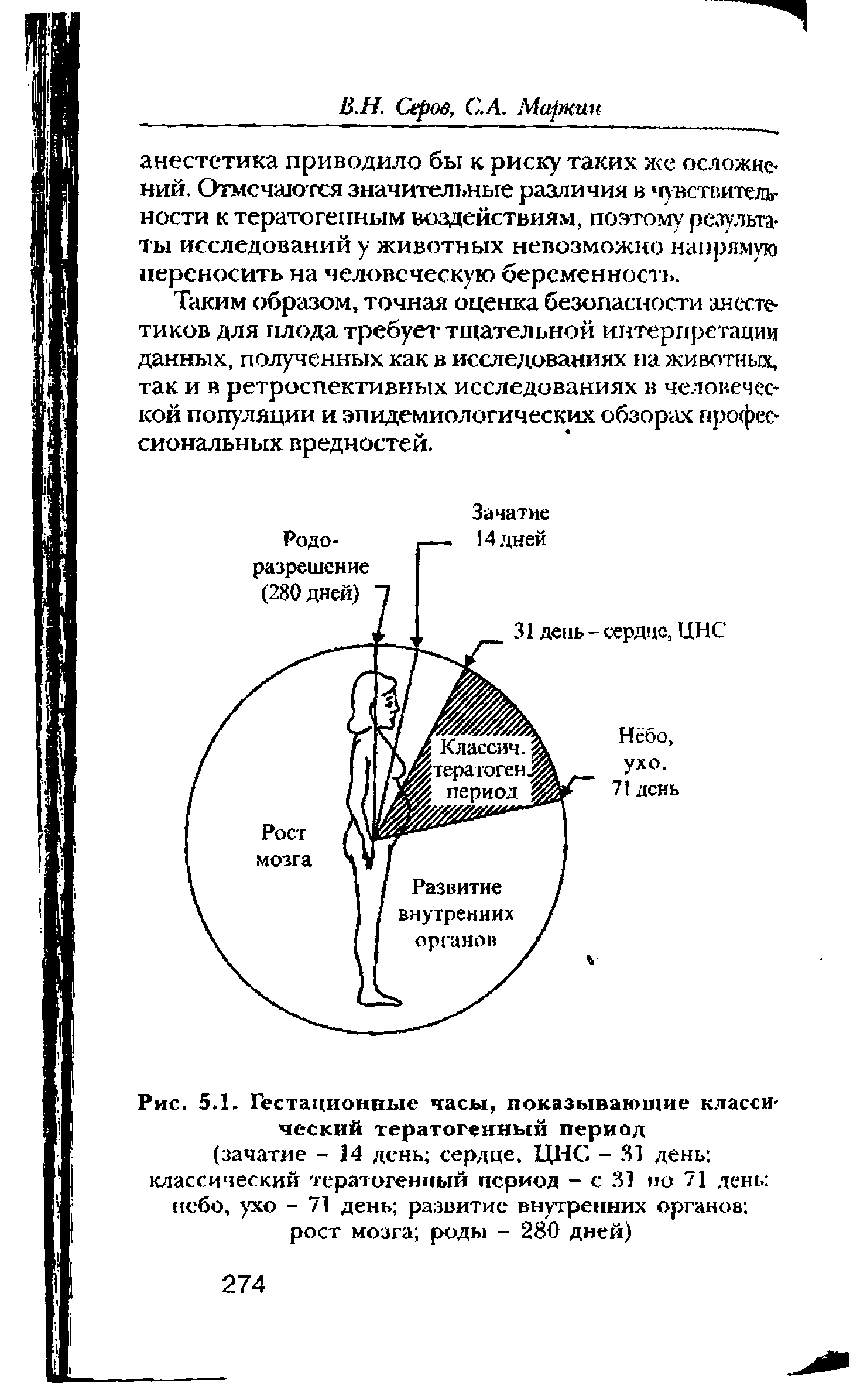 Рис. 5.1. Гестационные часы, показывающие классический тератогенный период...