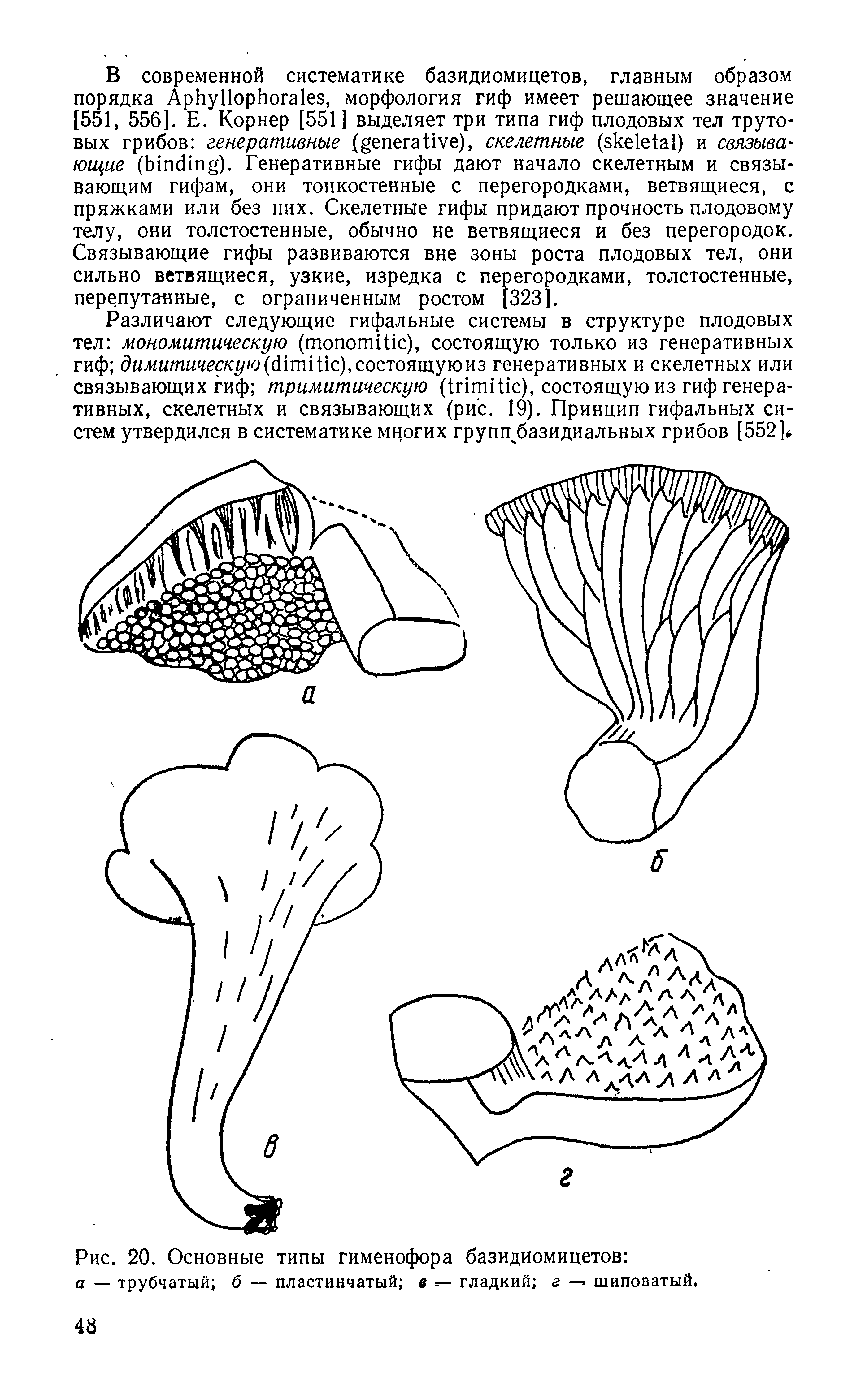 Рис. 20. Основные типы гименофора базидиомицетов а — трубчатый б — пластинчатый 6 гладкий г шиповатый.