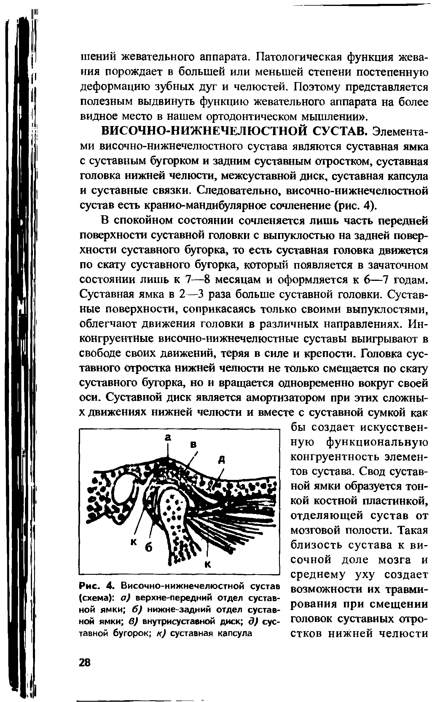 Рис. 4. Височно-нижнечелюстной сустав (схема) а) верхне-передний отдел суставной ямки б) нижне-задний отдел суставной ямки в) внутрисуставной диск д) суставной бугорок к) суставная капсула...