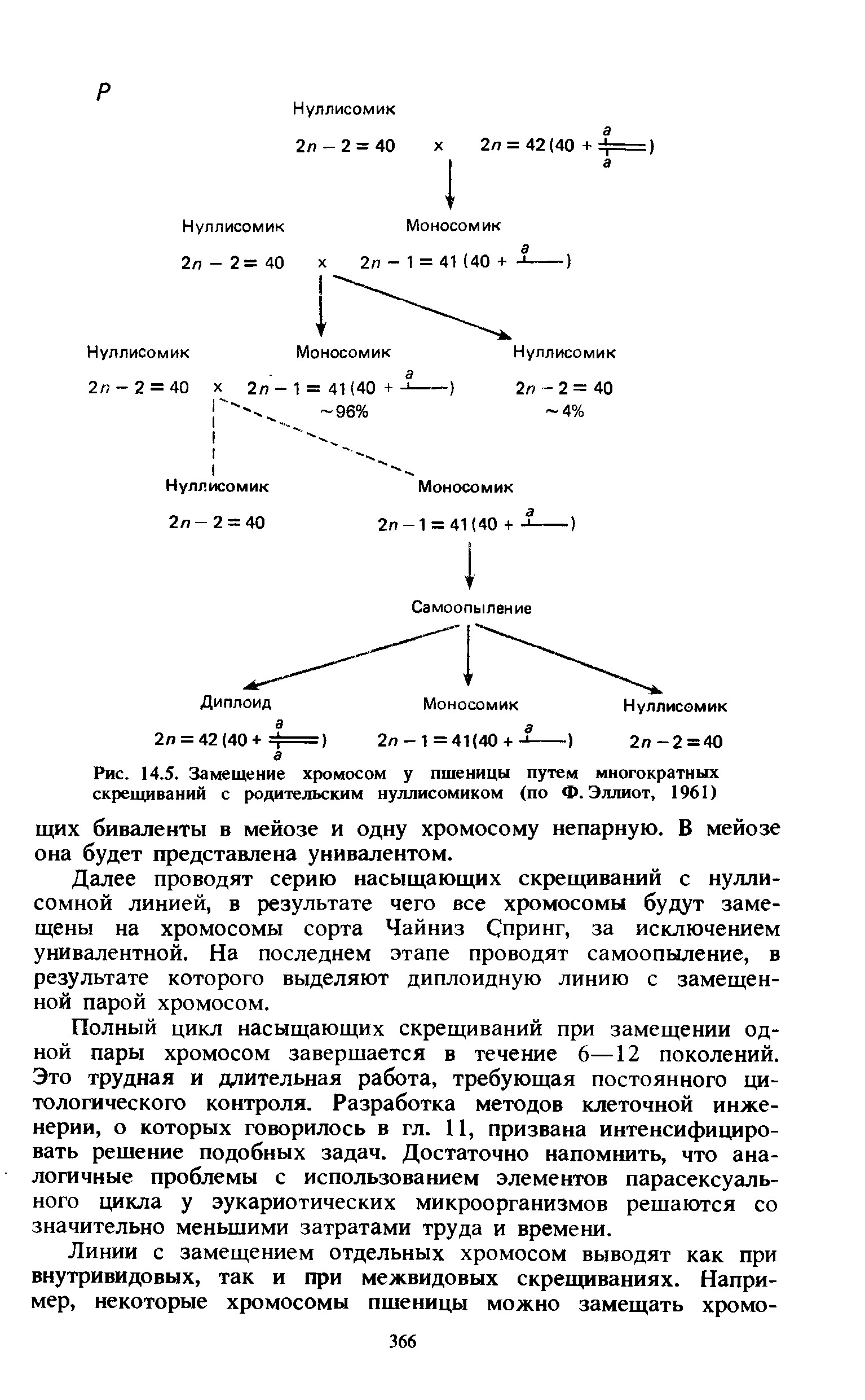 Рис. 14.5. Замещение хромосом у пшеницы путем многократных скрещиваний с родительским нуллисомиком (по Ф. Эллиот, 1961)...