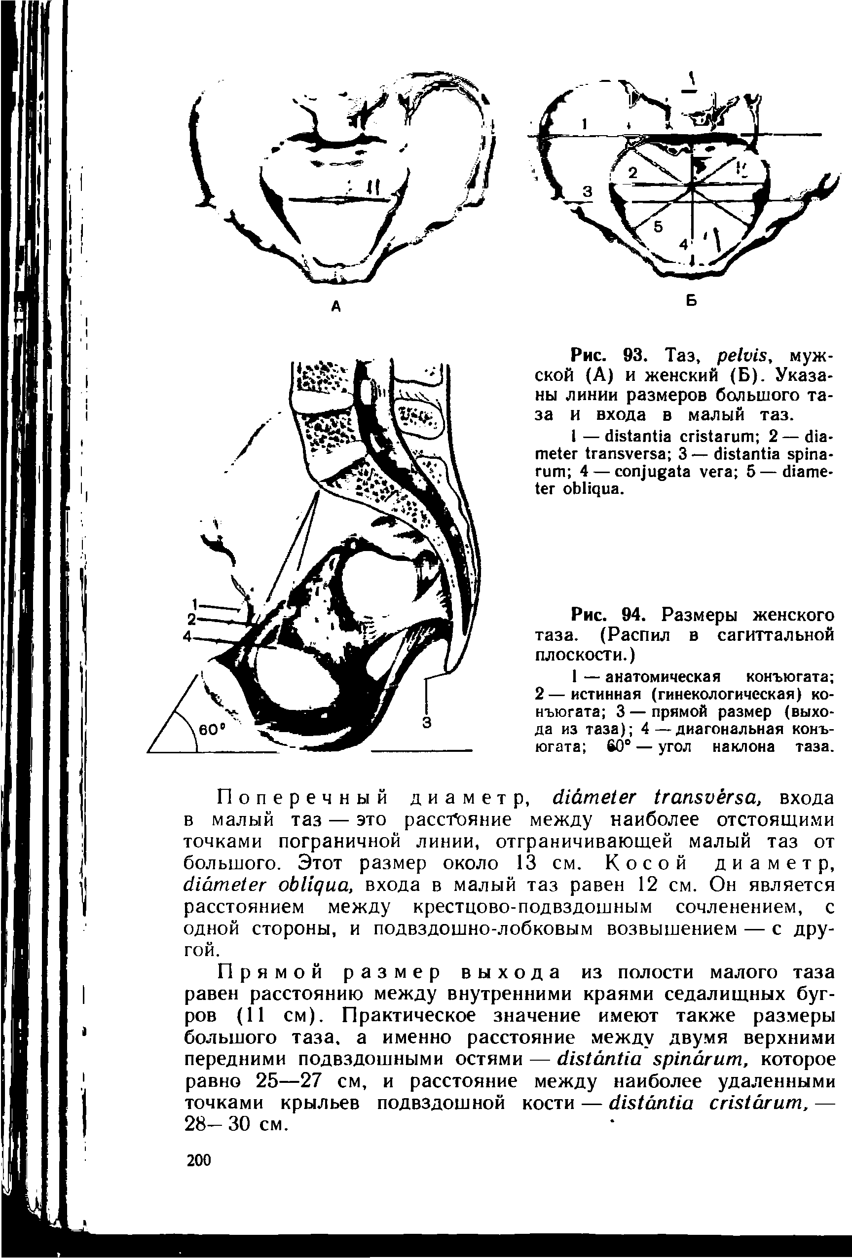 Рис. 94. Размеры женского таза. (Распил в сагиттальной плоскости.)...