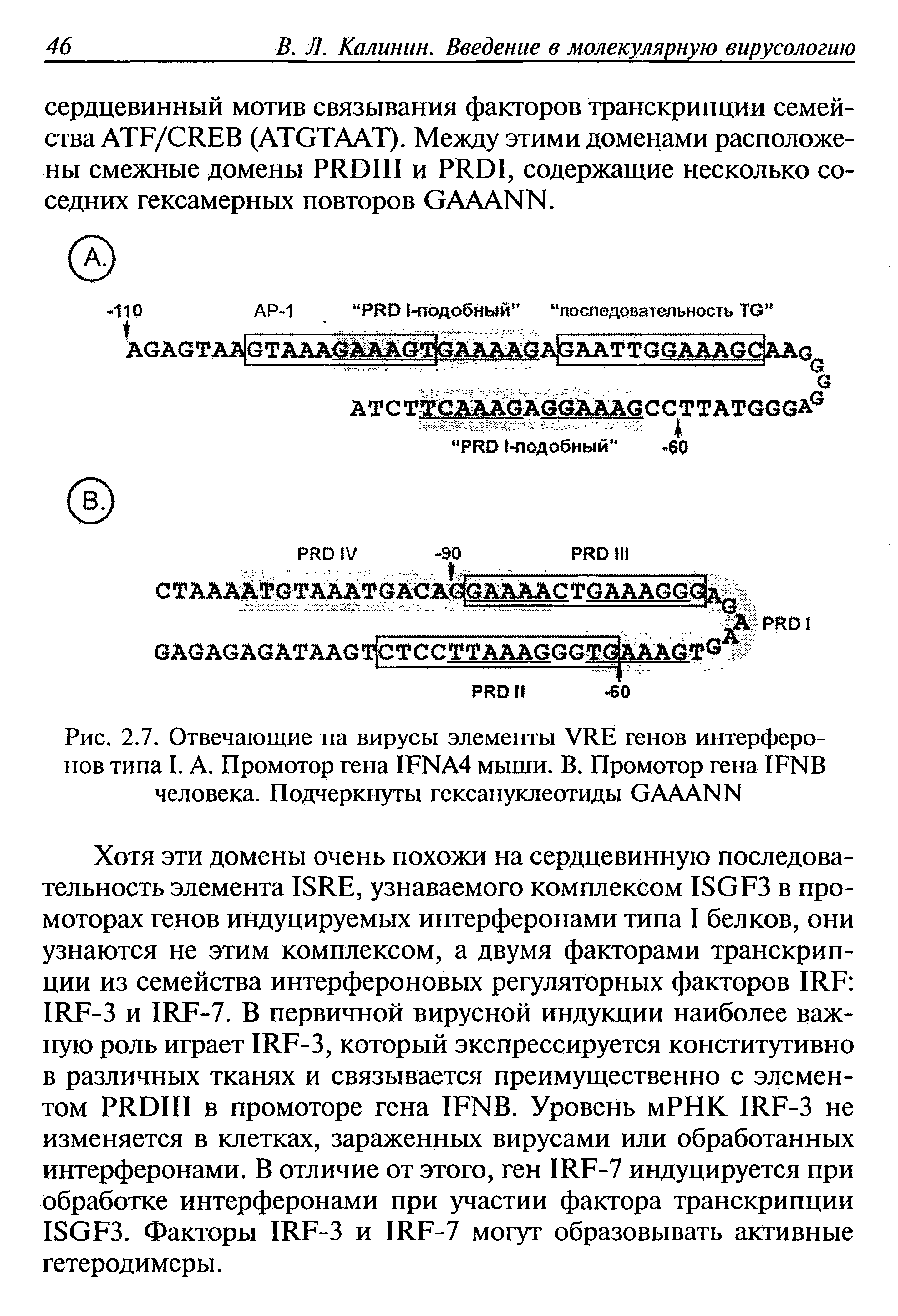 Рис. 2.7. Отвечающие на вирусы элементы УИЕ генов интерферонов типа I. А. Промотор гена 1ЕИА4 мыши. В. Промотор гена 1ЕМВ человека. Подчеркнуты гсксануклеотиды СААДЫИ...