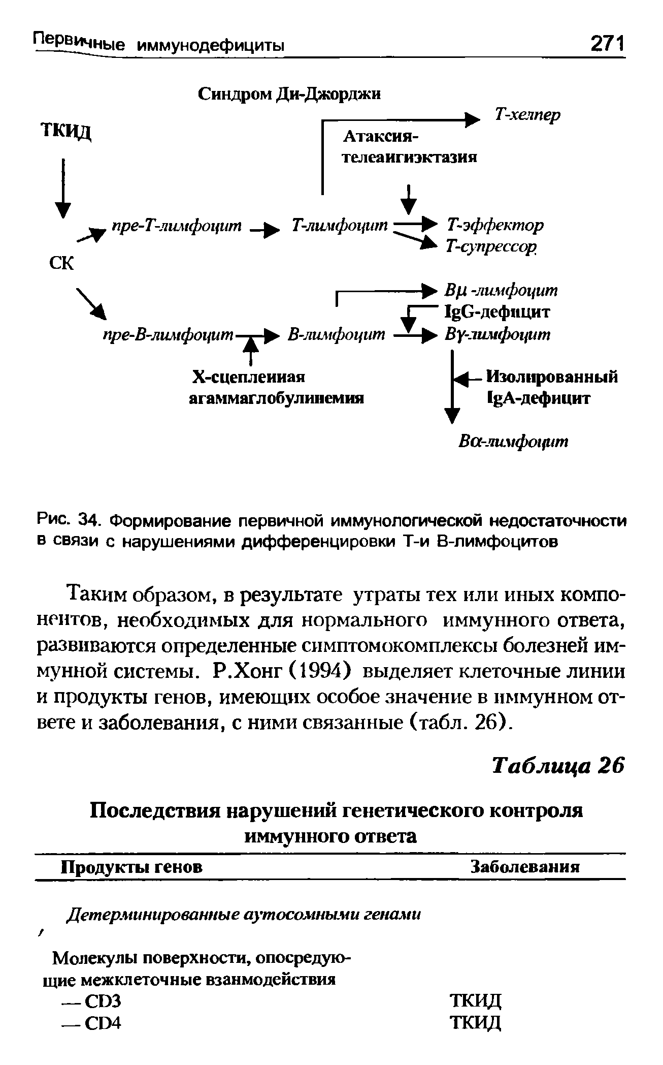 Рис. 34. Формирование первичной иммунологической недостаточности в связи с нарушениями дифференцировки Т-и В-лимфоцитов...