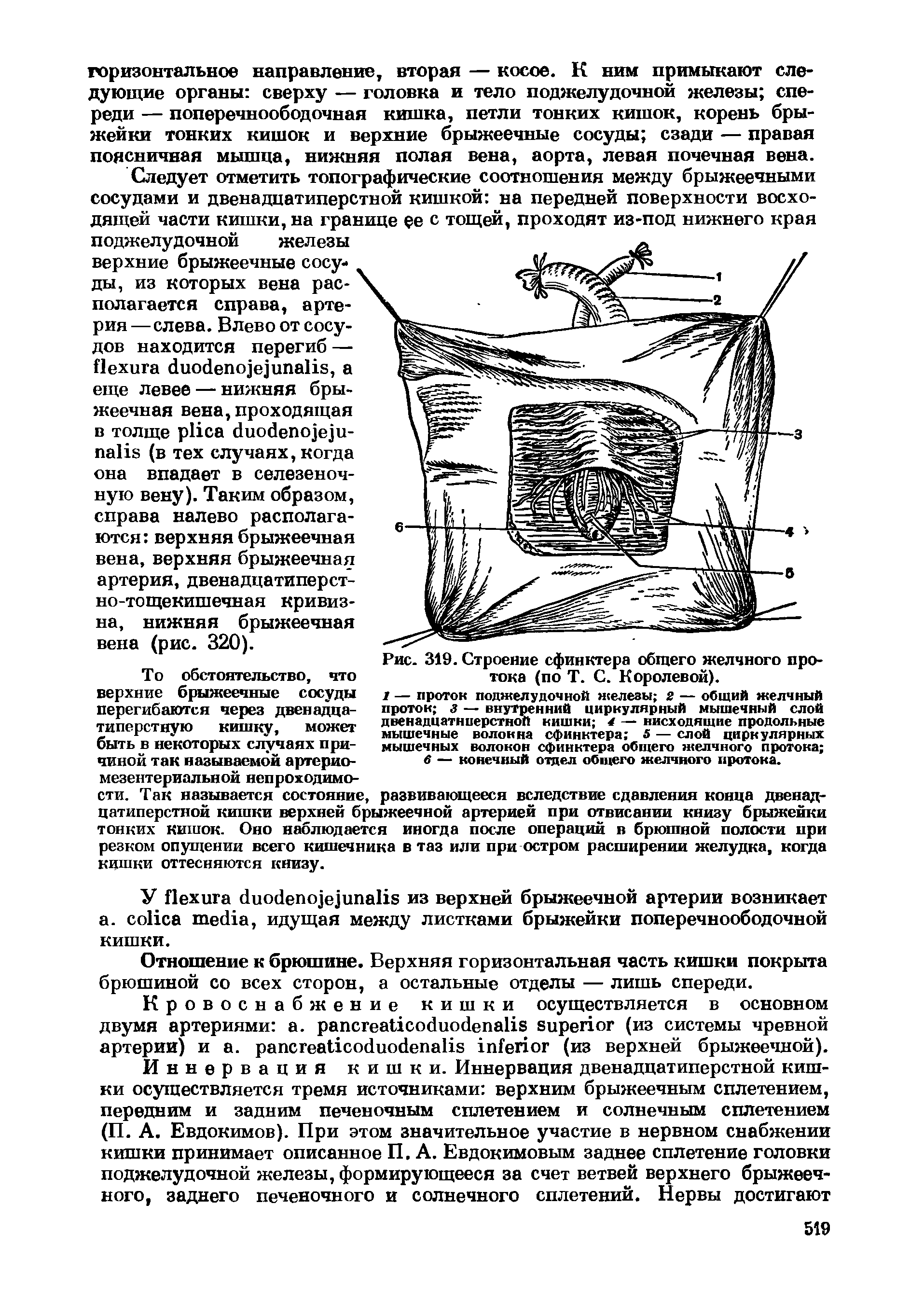 Рис. 319. Строение сфинктера общего желчного протока (по Т. С. Королевой).