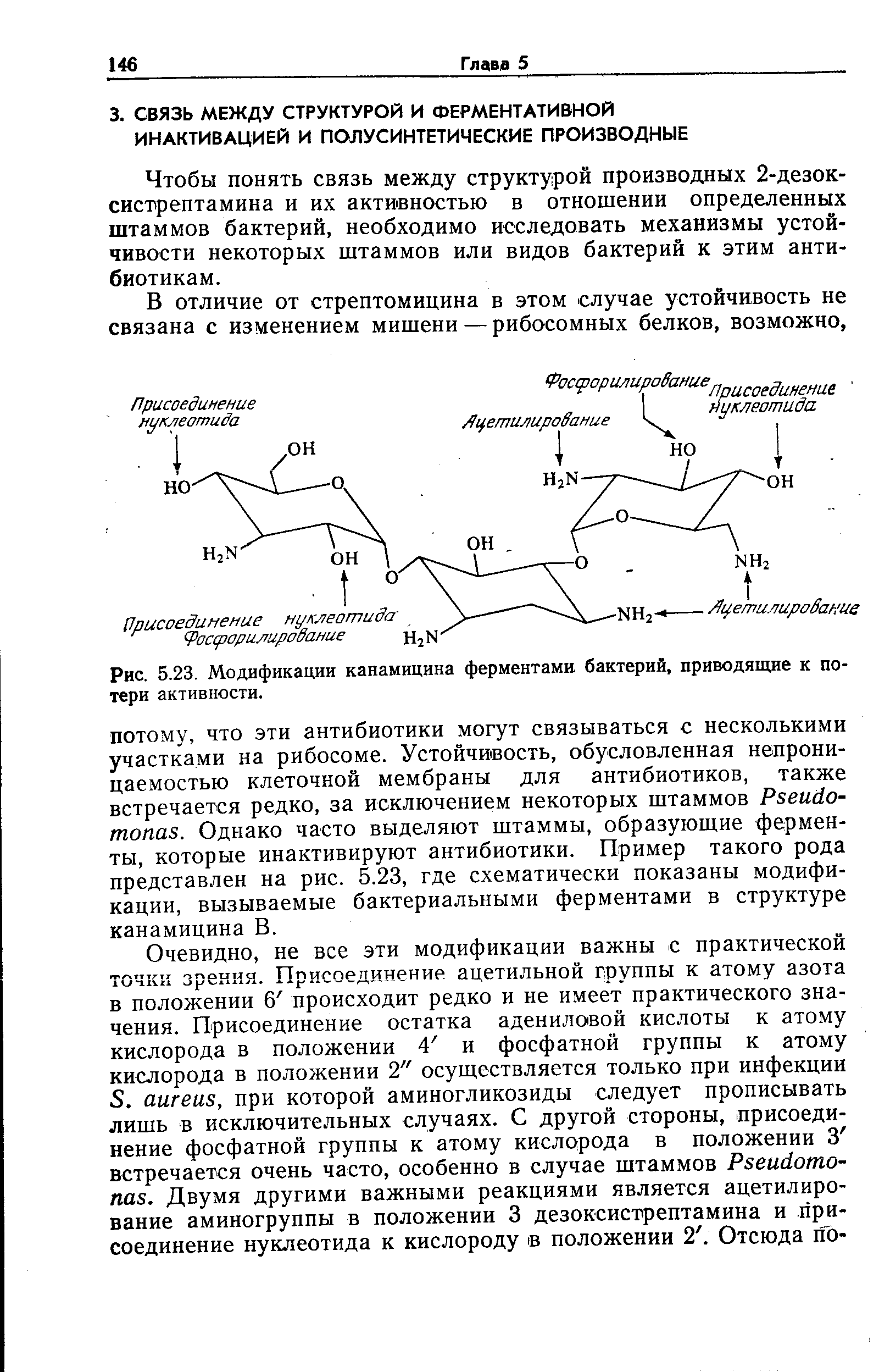 Рис. 5.23. Модификации канамицина ферментами бактерий, приводящие к потери активности.