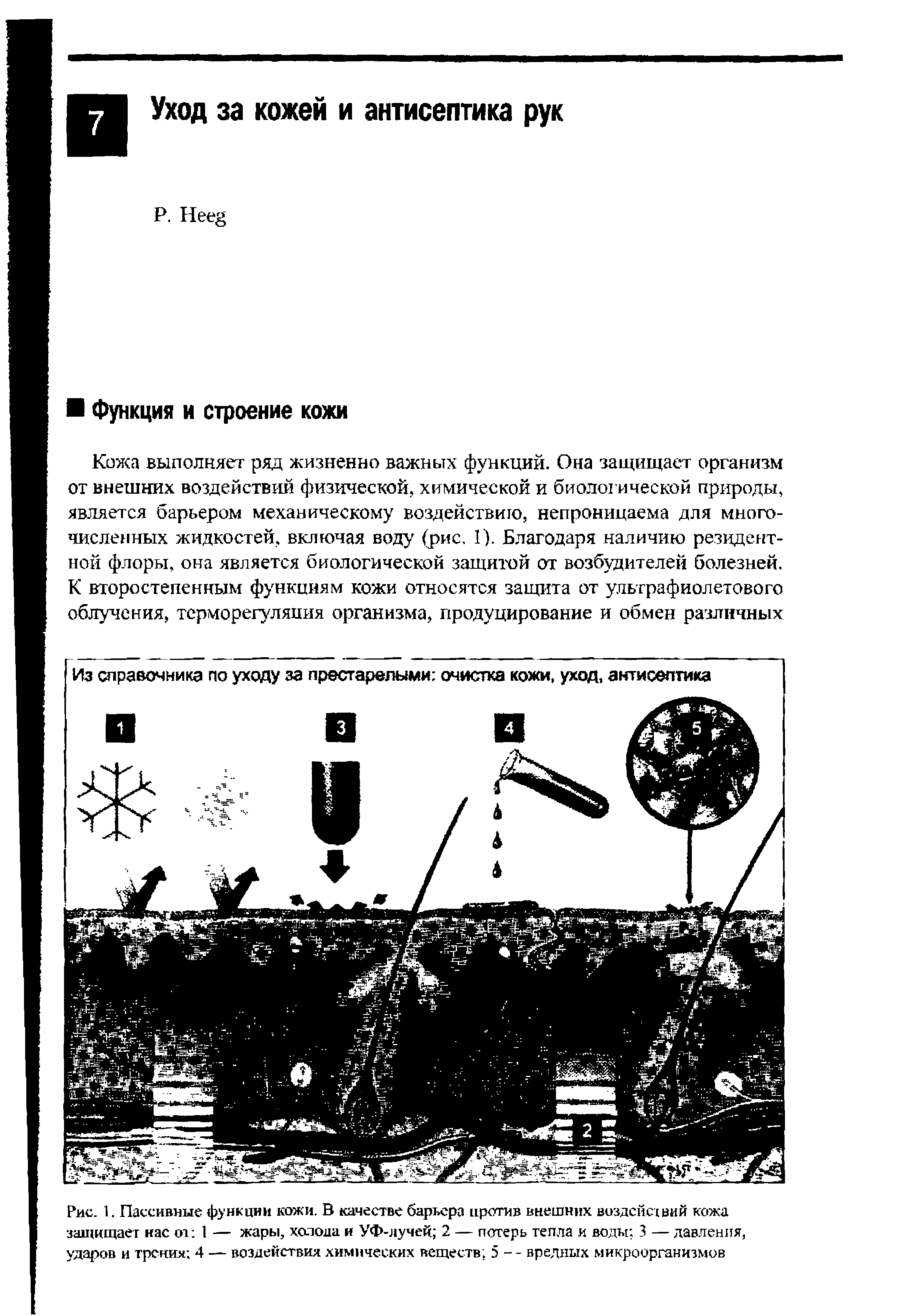 Рис. 1. Пассивные функции кожи. В качестве барьера против внешних воздействий кожа защищает нас от 1 — жары, холода и УФ-лучей 2 — потерь тепла и воды 3 — давления, ударов и трения 4 — воздействия химических веществ 5 - - вредных микроорганизмов...