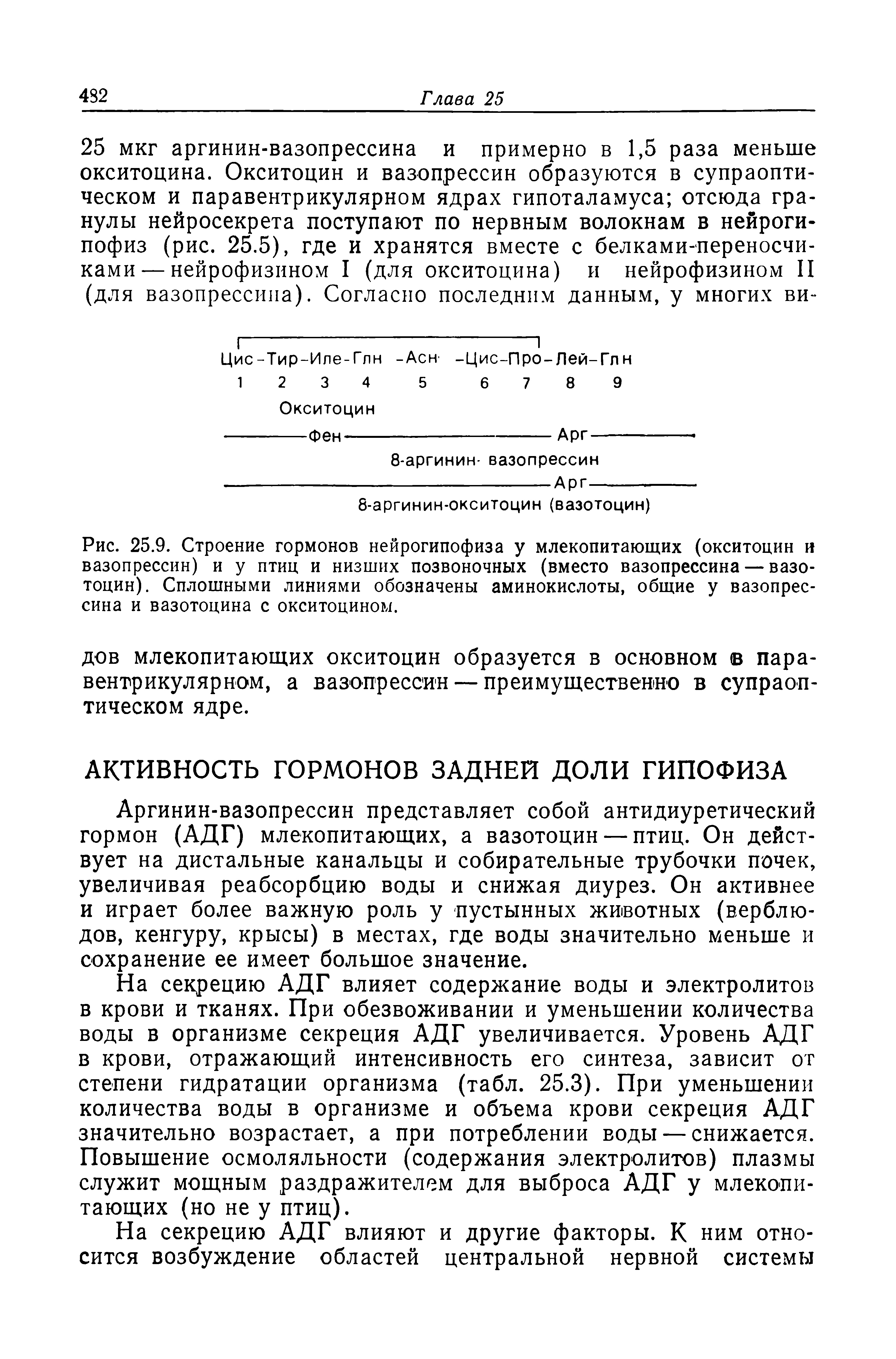 Рис. 25.9. Строение гормонов нейрогипофиза у млекопитающих (окситоцин и вазопрессин) и у птиц и низших позвоночных (вместо вазопрессина — вазотоцин). Сплошными линиями обозначены аминокислоты, общие у вазопрессина и вазотоцина с окситоцином.