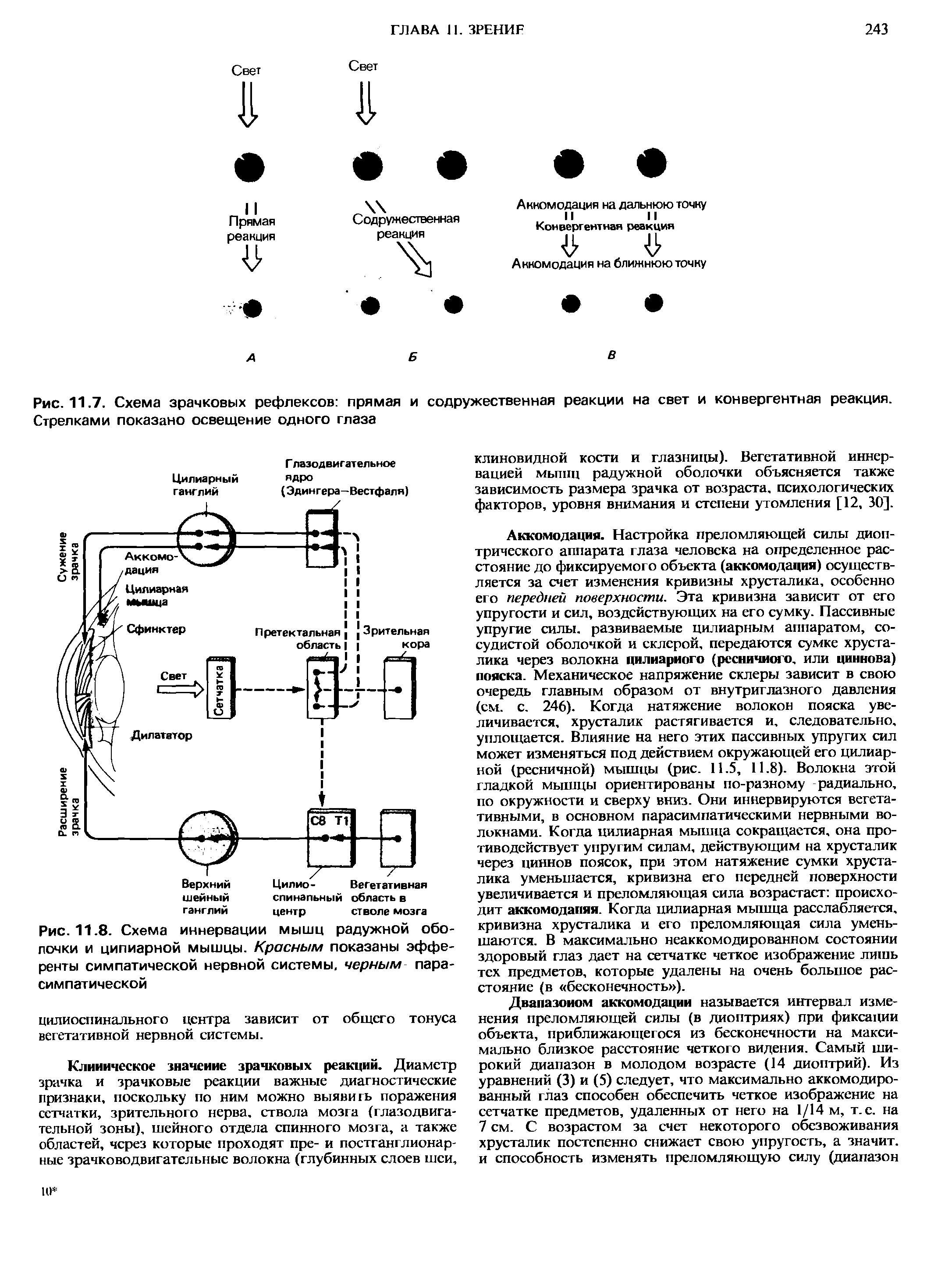 Рис. 11.7. Схема зрачковых рефлексов прямая и содружественная реакции на свет и конвергентная реакция. Стрелками показано освещение одного глаза...