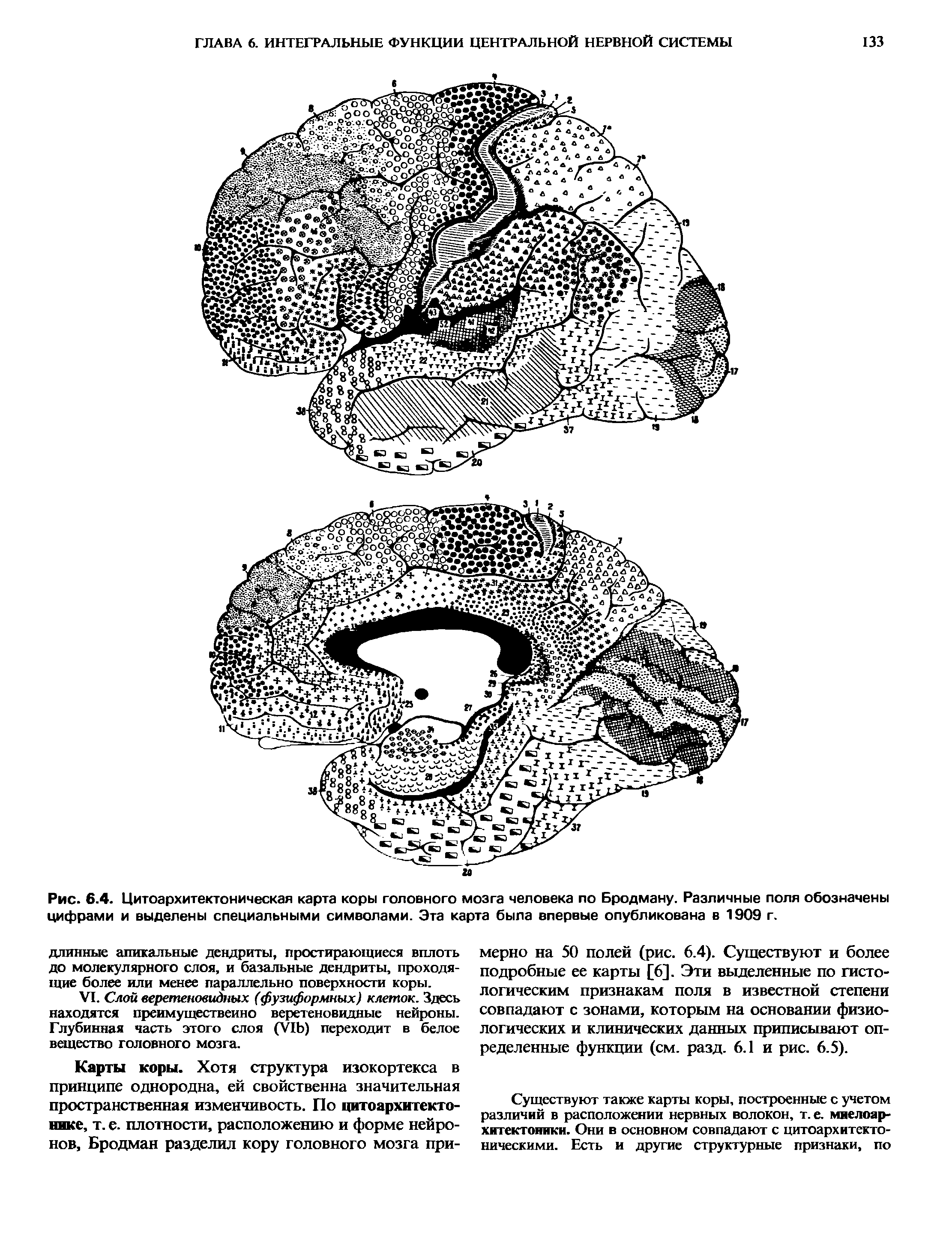 Рис. 6.4. Цитоархитектоническая карта коры головного мозга человека по Бродману. Различные поля обозначены цифрами и выделены специальными символами. Эта карта была впервые опубликована в 1909 г.