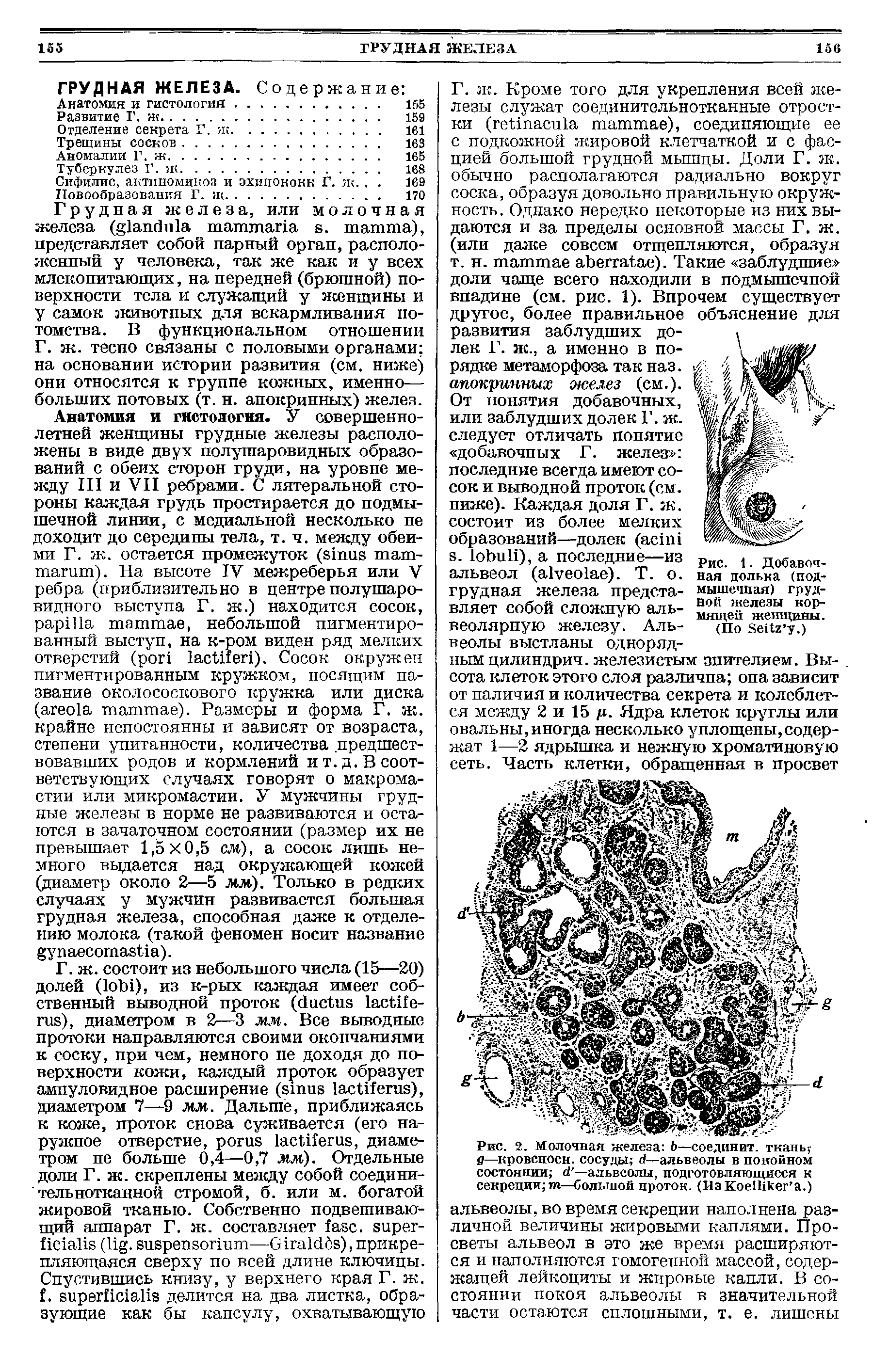 Рис. 1. Добавочная долька (подмышечная) грудной железы кормящей женщины.