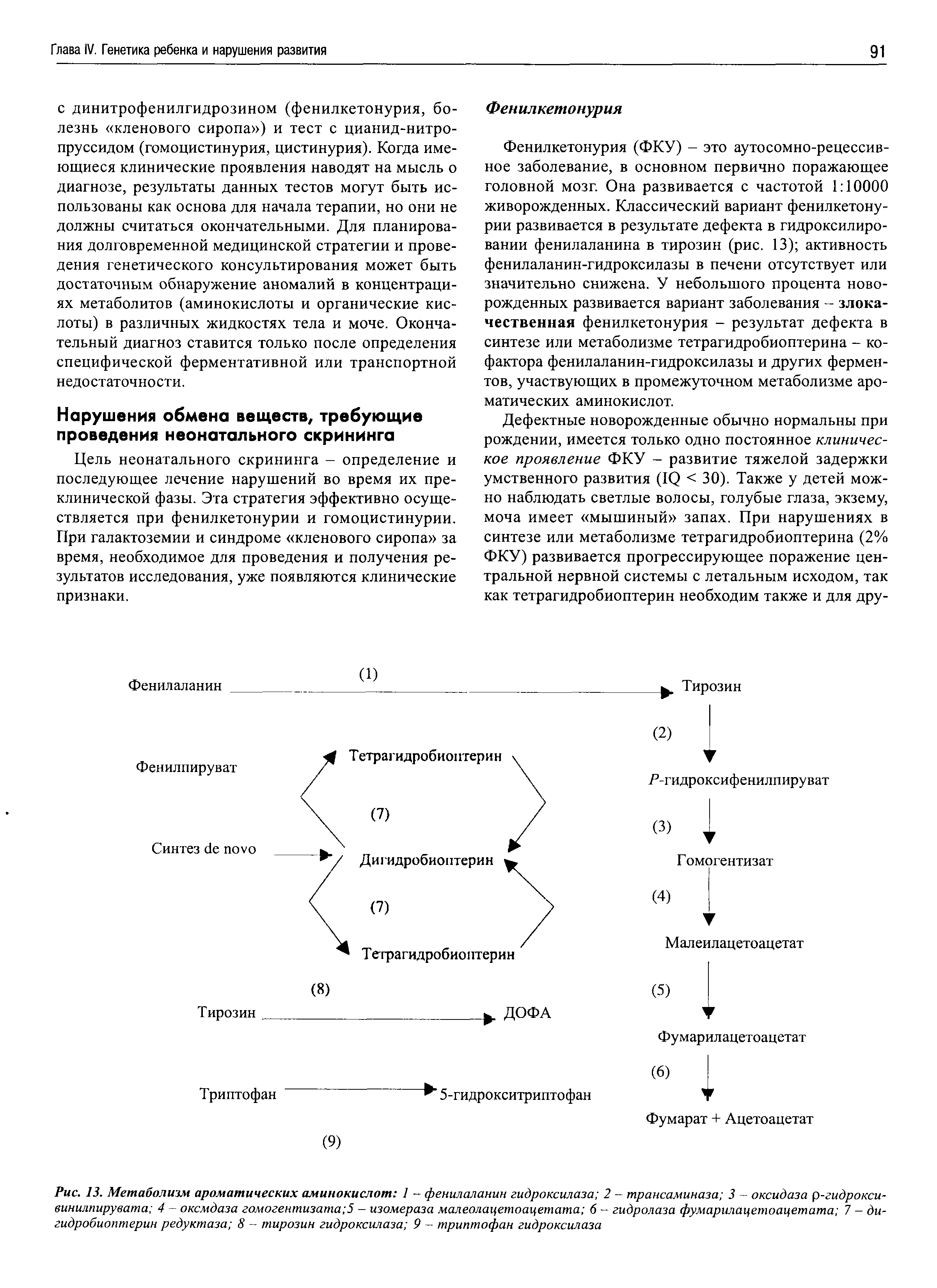 Рис. 13. Метаболизм ароматических аминокислот 1 - фенилаланин гидроксилаза 2 - трансаминаза 3 - оксидаза р-гидрокси-винилпирувата 4 - оксмдаза гомогентизата 5 - изомераза малеолацетоацетата 6 - гидролаза фумарилацетоацетата 7 - дигидробиоптерин редуктаза 8 - тирозин гидроксилаза 9 - триптофан гидроксилаза...