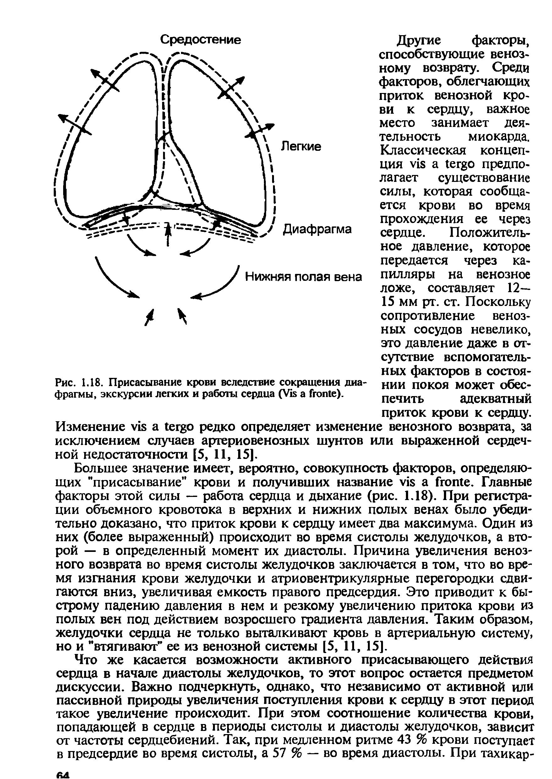 Рис. 1.18. Присасывание крови вследствие сокращения диафрагмы, экскурсии легких и работы сердца (V ).