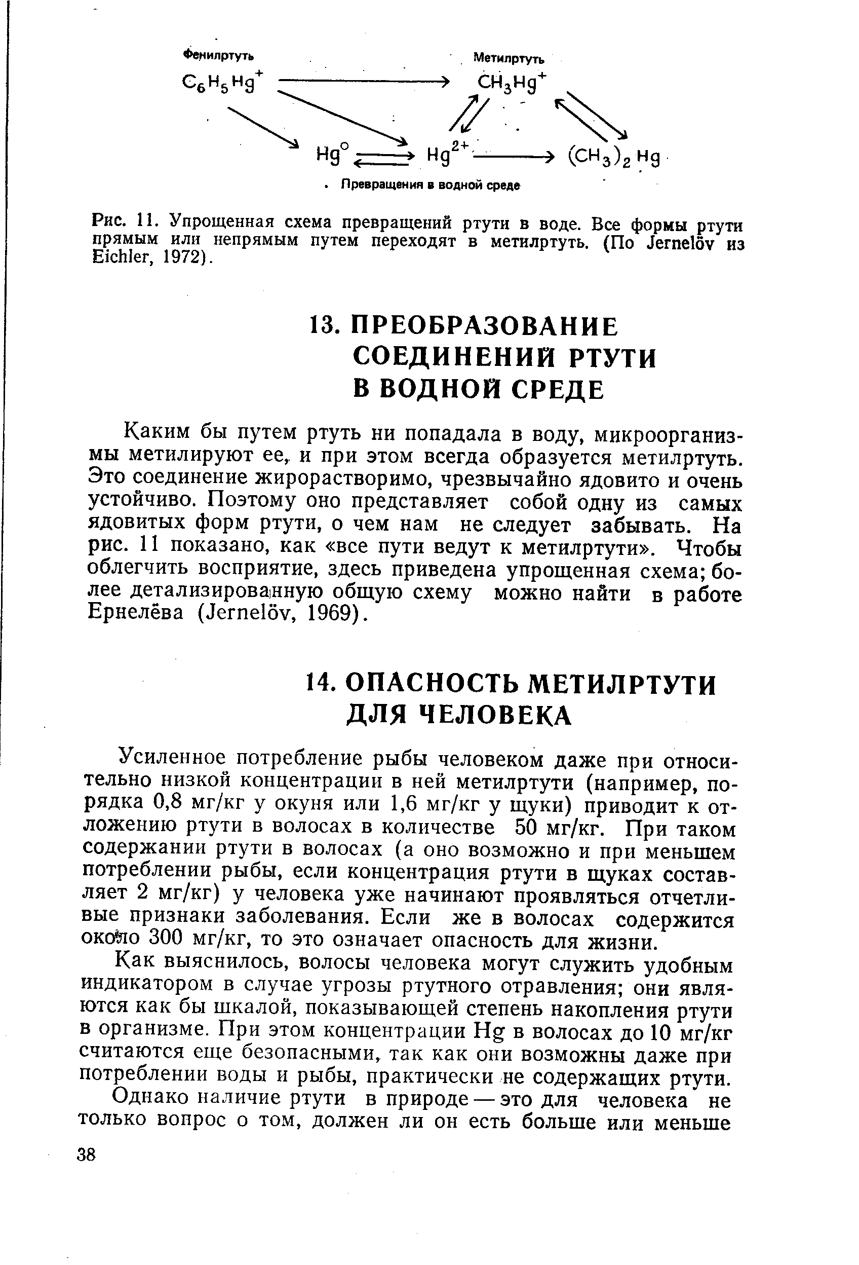 Рис. 11. Упрощенная схема превращений ртути в воде. Все формы ртути прямым или непрямым путем переходят в метилртуть. (По J из E , 1972).