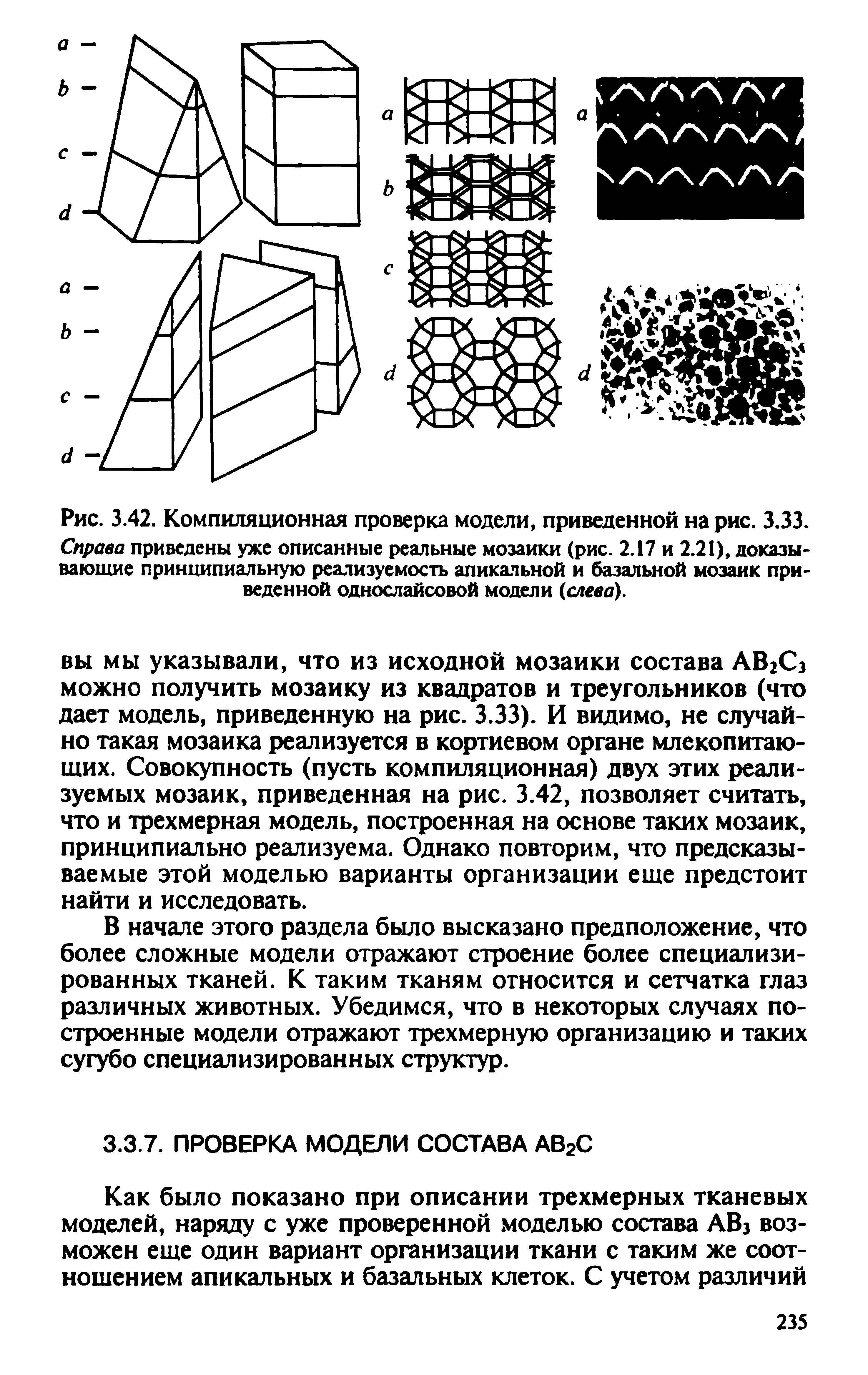 Рис. 3.42. Компиляционная проверка модели, приведенной на рис. 3.33. Справа приведены уже описанные реальные мозаики (рис. 2.17 и 2.21), доказывающие принципиальную реализуемость апикальной и базальной мозаик приведенной однослайсовой модели (слева).