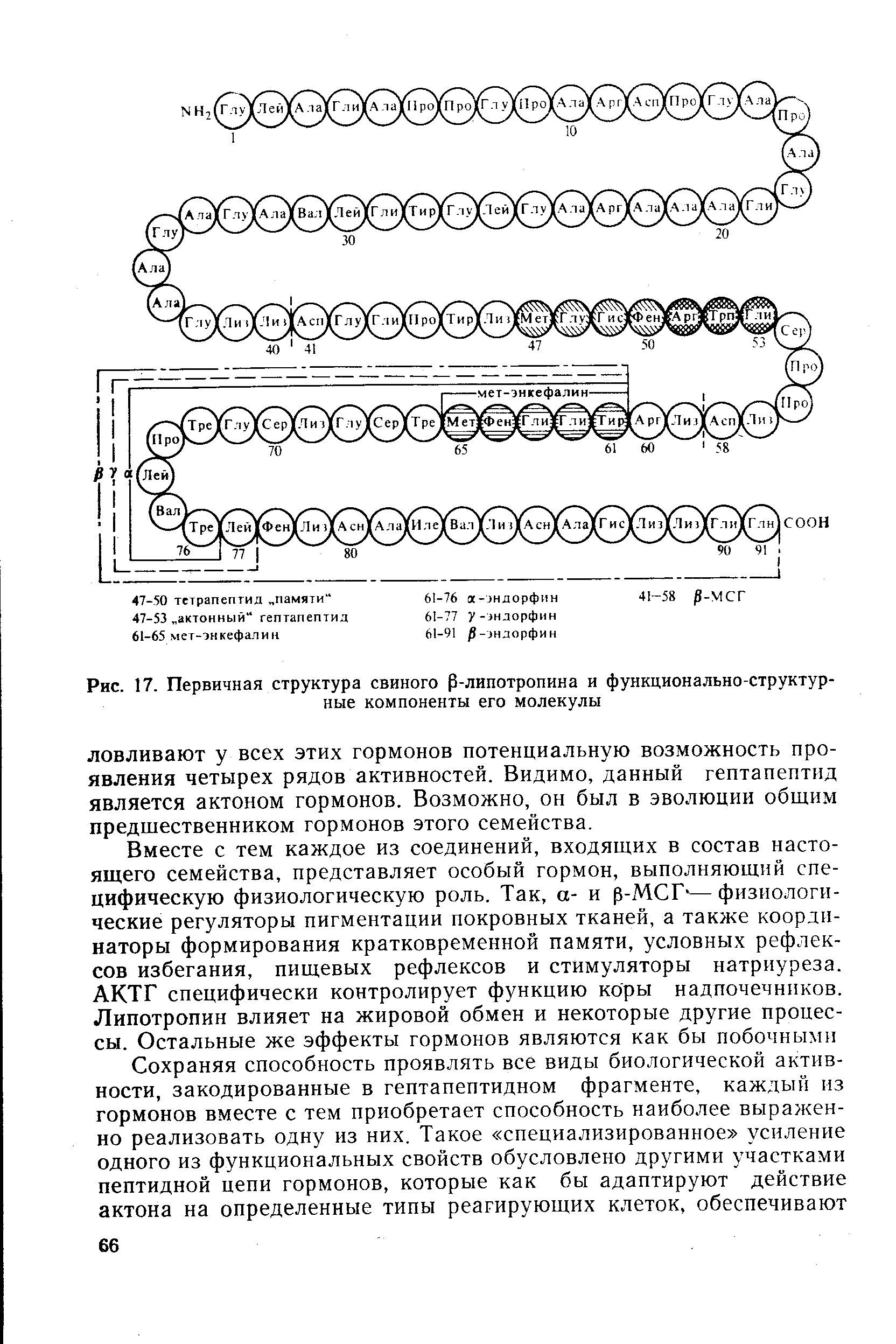 Рис. 17. Первичная структура свиного р-липотропина и функционально-структурные компоненты его молекулы...