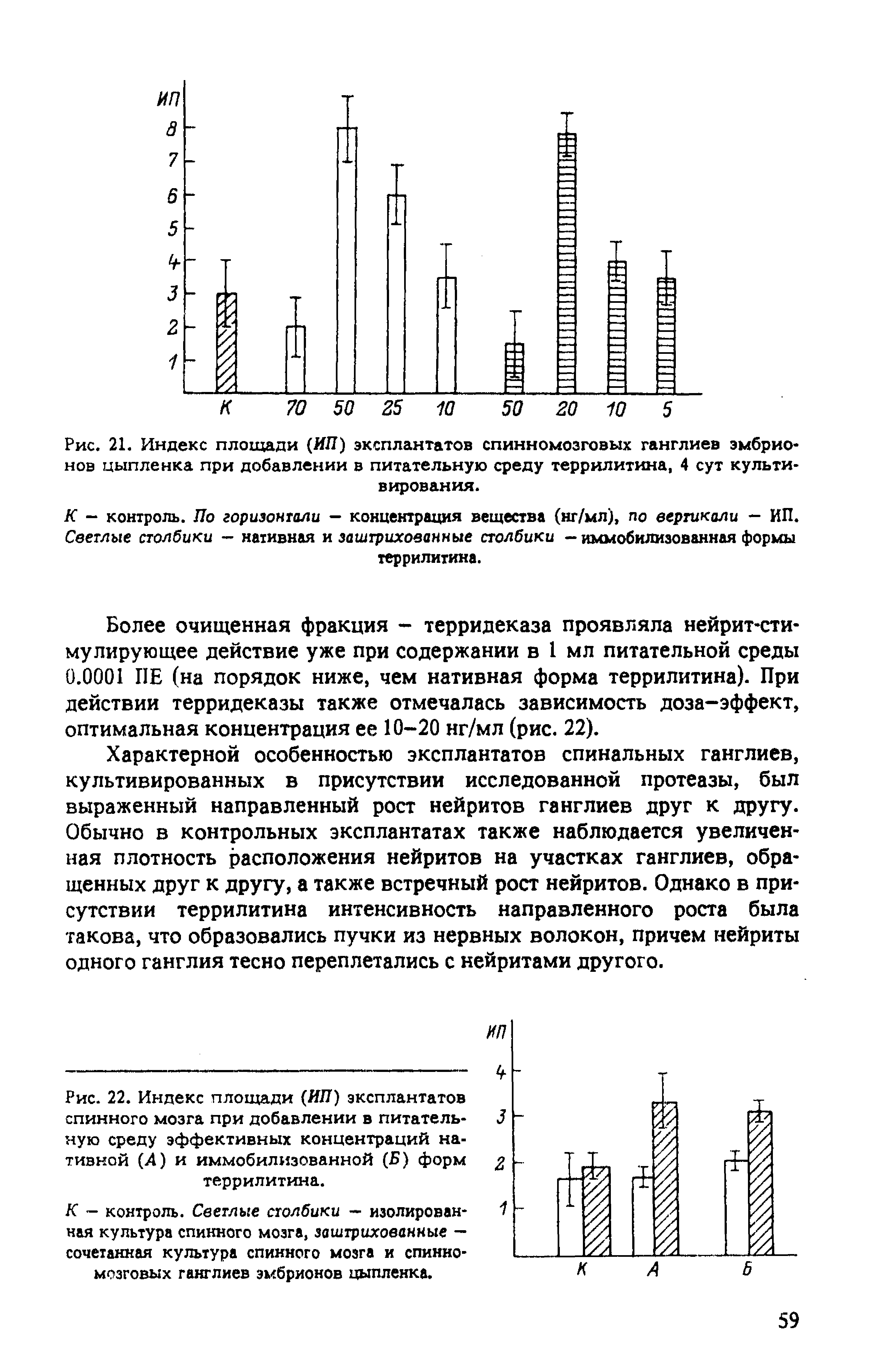 Рис. 22. Индекс площади (ЯП) эксплантатов спинного мозга при добавлении в питательную среду эффективных концентраций нативной (4) и иммобилизованной (Б) форм террилитина.