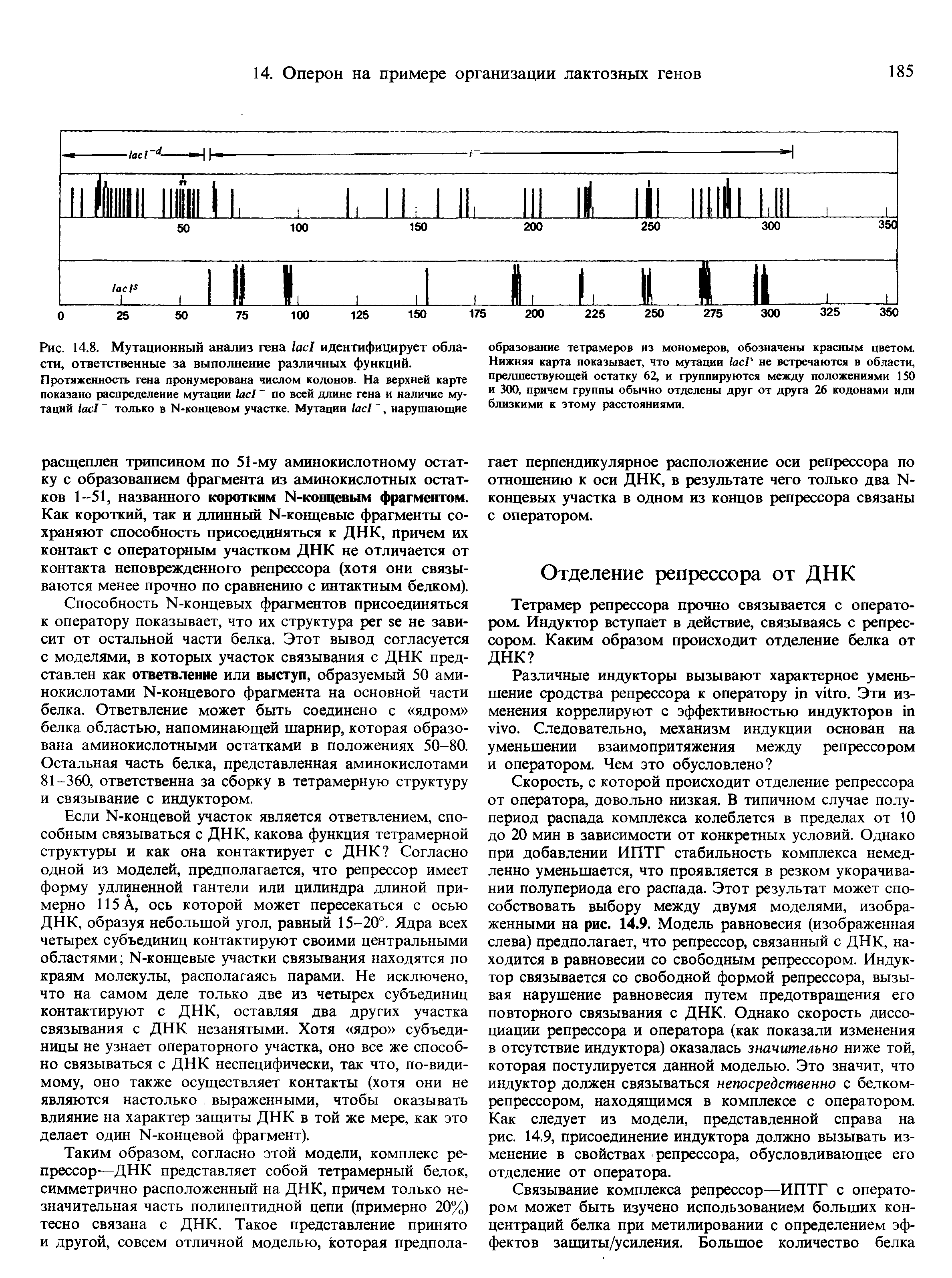 Рис. 14.8. Мутационный анализ гена идентифицирует области, ответственные за выполнение различных функций.