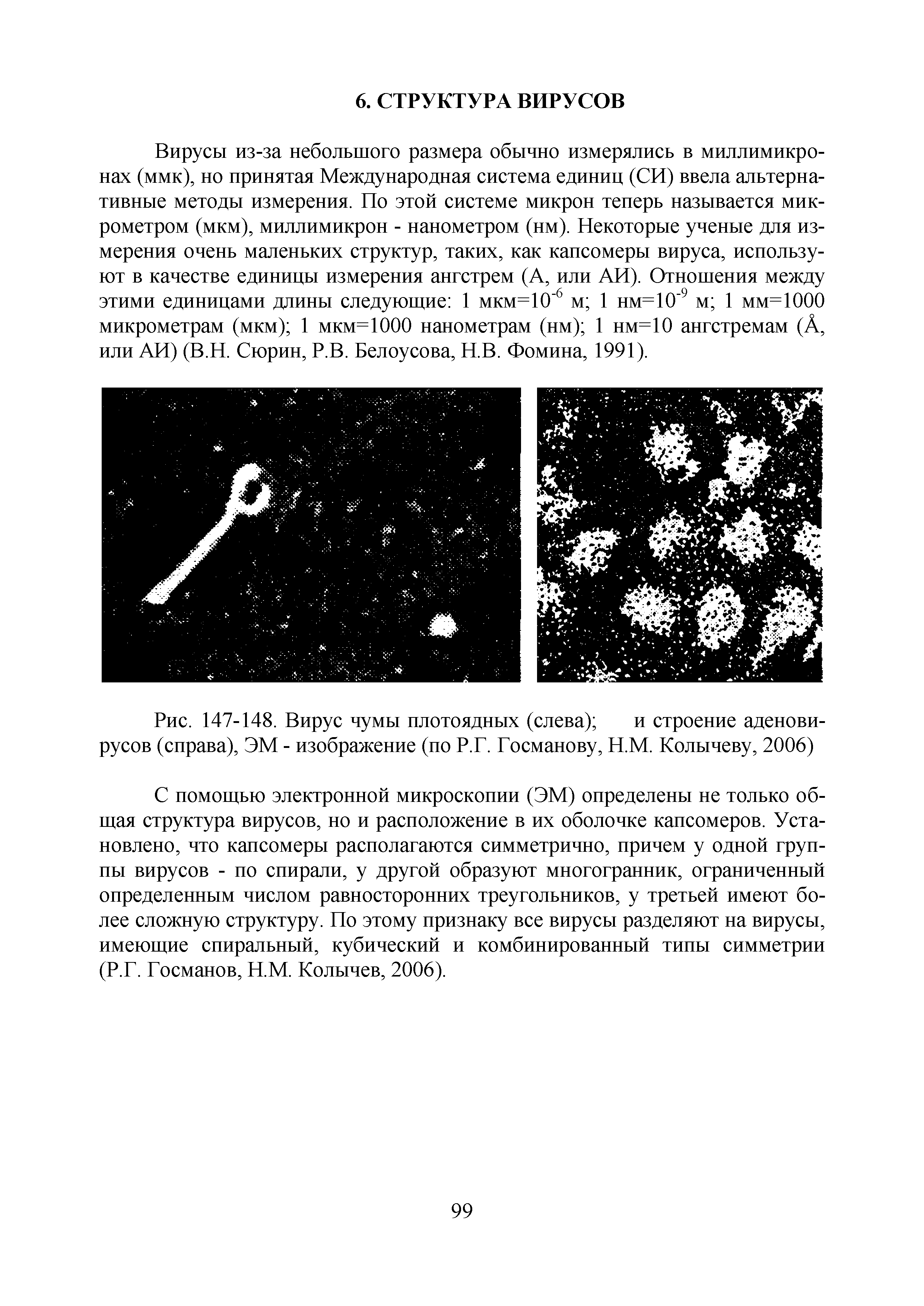 Рис. 147-148. Вирус чумы плотоядных (слева) и строение аденовирусов (справа), ЭМ - изображение (по Р.Г. Госманову, Н.М. Колычеву, 2006)...