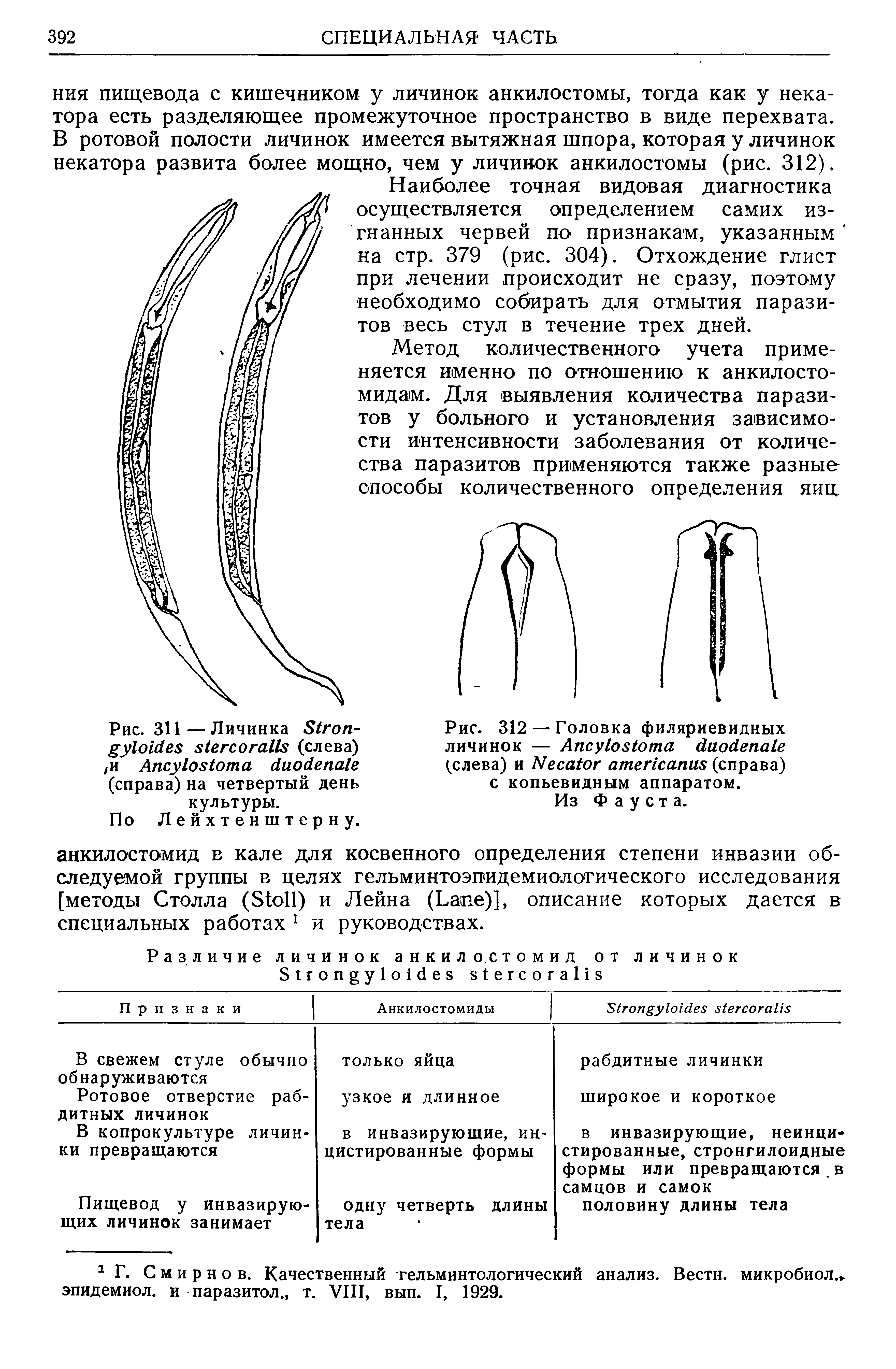 Рис. 312 — Головка филяриевидных личинок — A (слева) и N (справа) с копьевидным аппаратом.