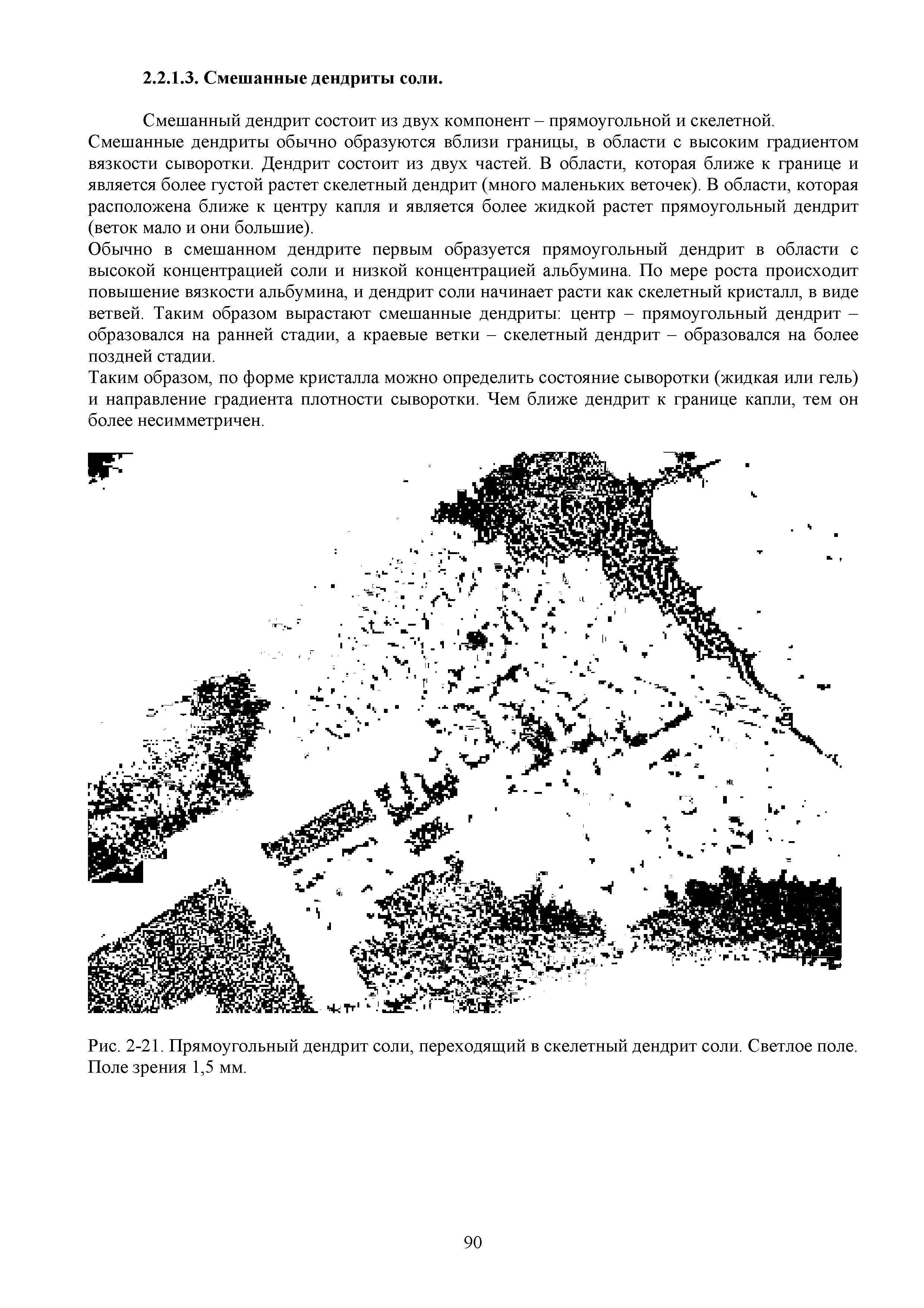 Рис. 2-21. Прямоугольный дендрит соли, переходящий в скелетный дендрит соли. Светлое поле. Поле зрения 1,5 мм.