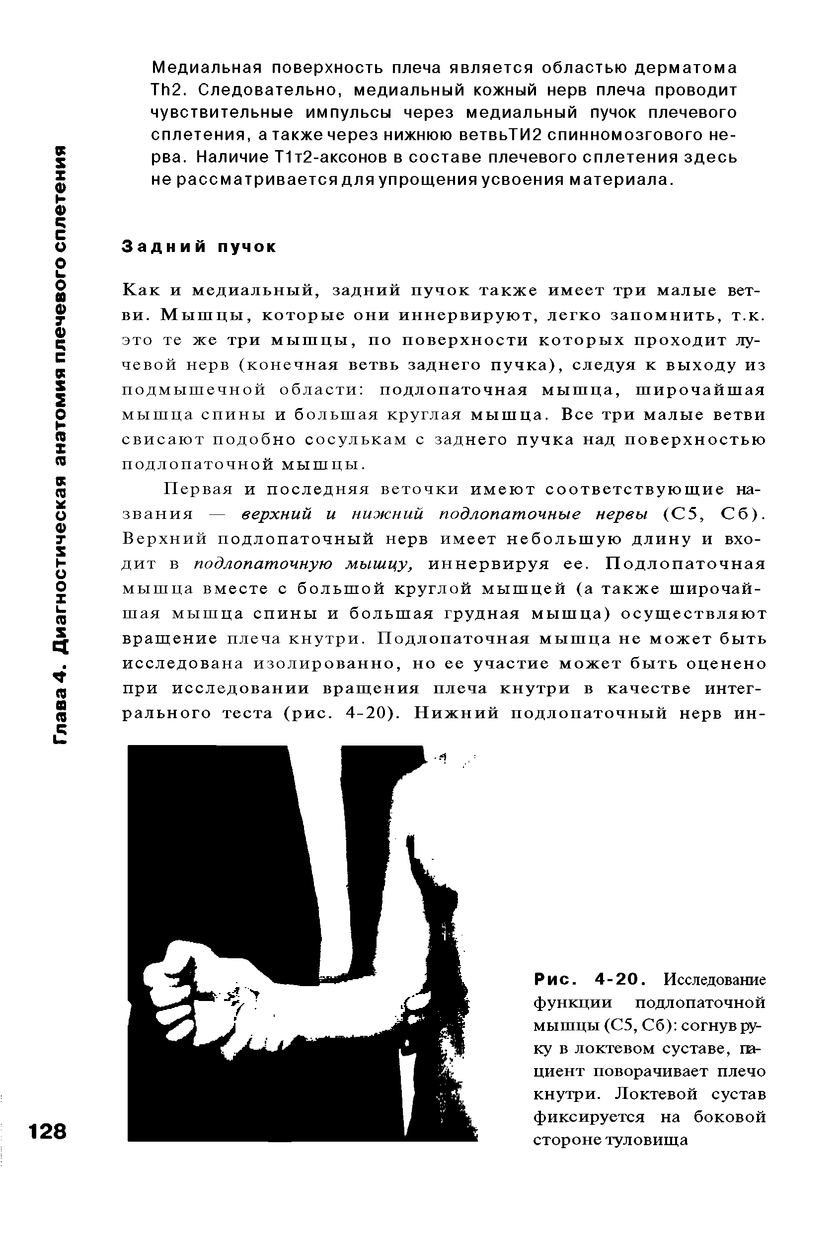 Рис. 4-20. Исследование функции подлопаточной мышцы (С5, Сб) согнув руку в локтевом суставе, гв-циент поворачивает плечо кнутри. Локтевой сустав фиксируется на боковой стороне туловища...