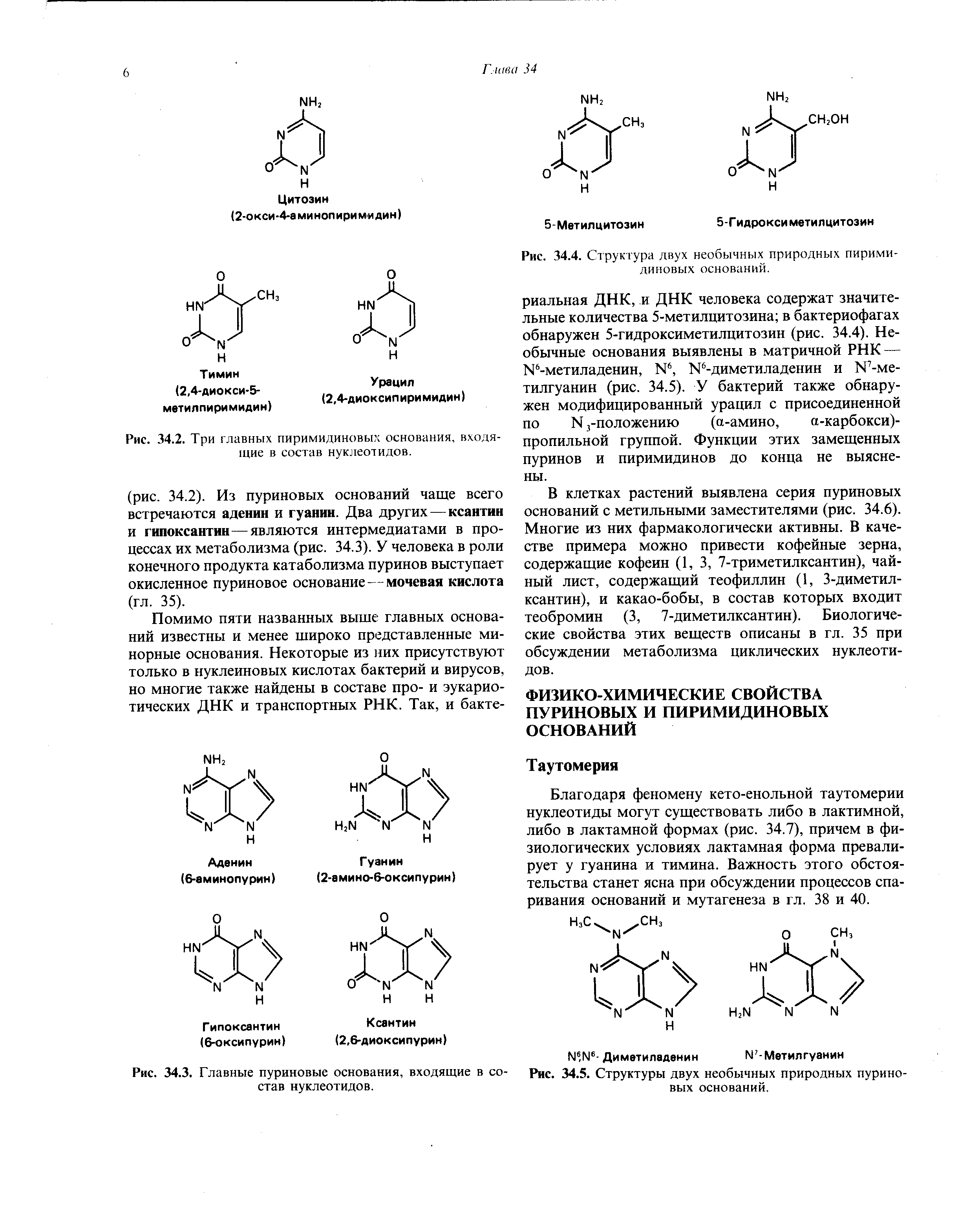 Рис. 34.5. Структуры двух необычных природных пуриновых оснований.