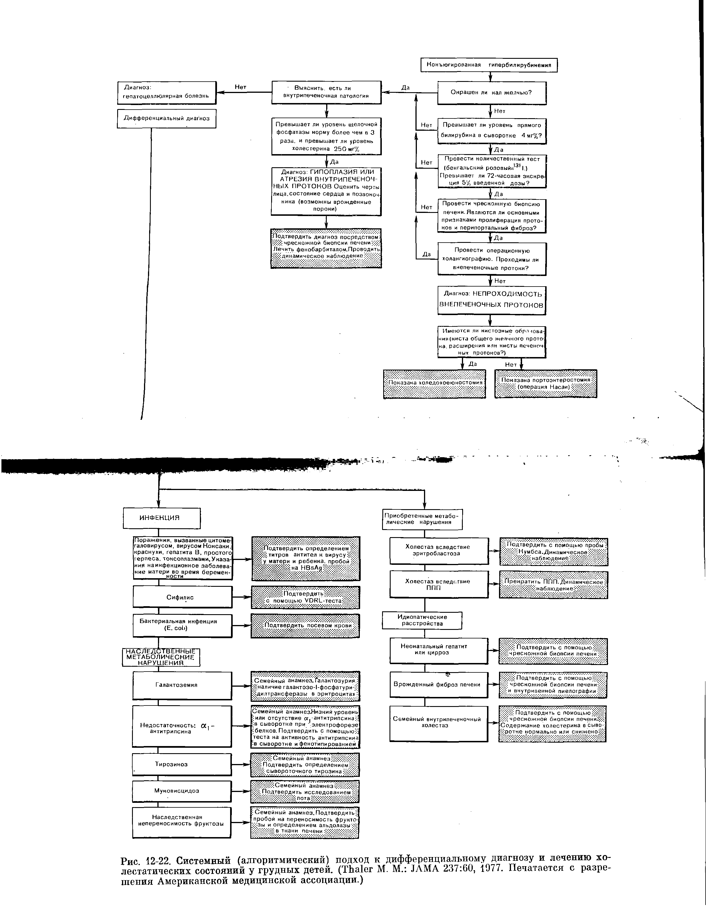 Рис. 12-22. Системный (алгоритмический) подход к дифференциальному диагнозу и лечению холестатических состояний у грудных детей. (T М. М. JAMA 237 60, 1977. Печатается с разрешения Американской медицинской ассоциации.)...