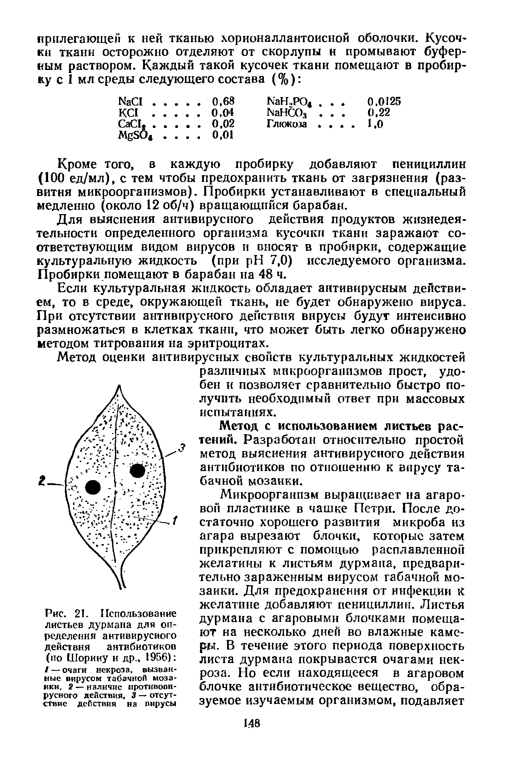 Рис. 21. Использование листьев дурмана для определения антивирусного действия антибиотиков (по Шорину н др., 1956) /— очаги некроза, вызванные вирусом табачной мозаики. 3 — наличие противовирусного действия, 3 — отсутствие действия на вирусы...