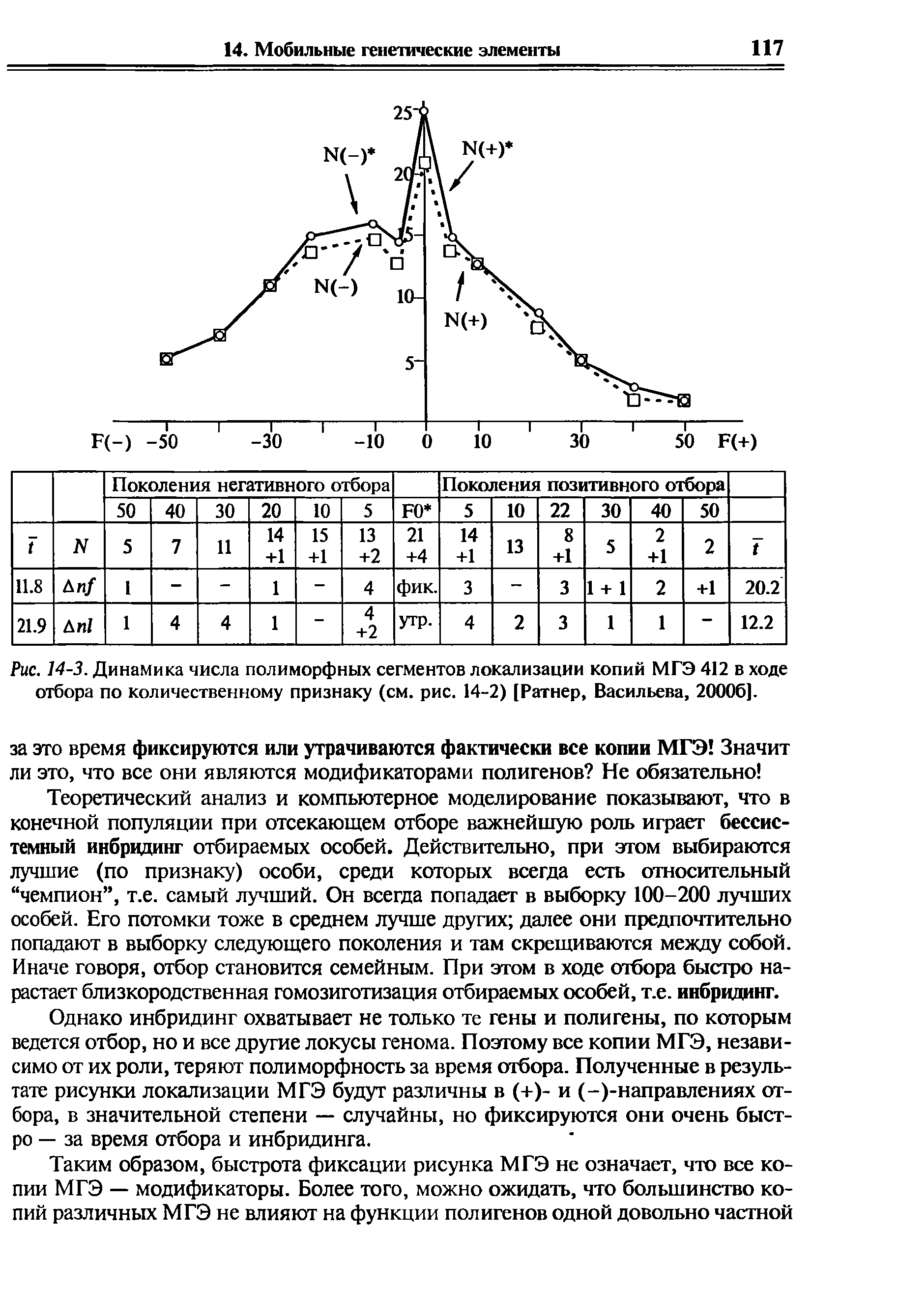 Рис. 14-3. Динамика числа полиморфных сегментов локализации копий МГЭ 412 в ходе отбора по количественному признаку (см. рис. 14-2) [Ратнер, Васильева, 20006].