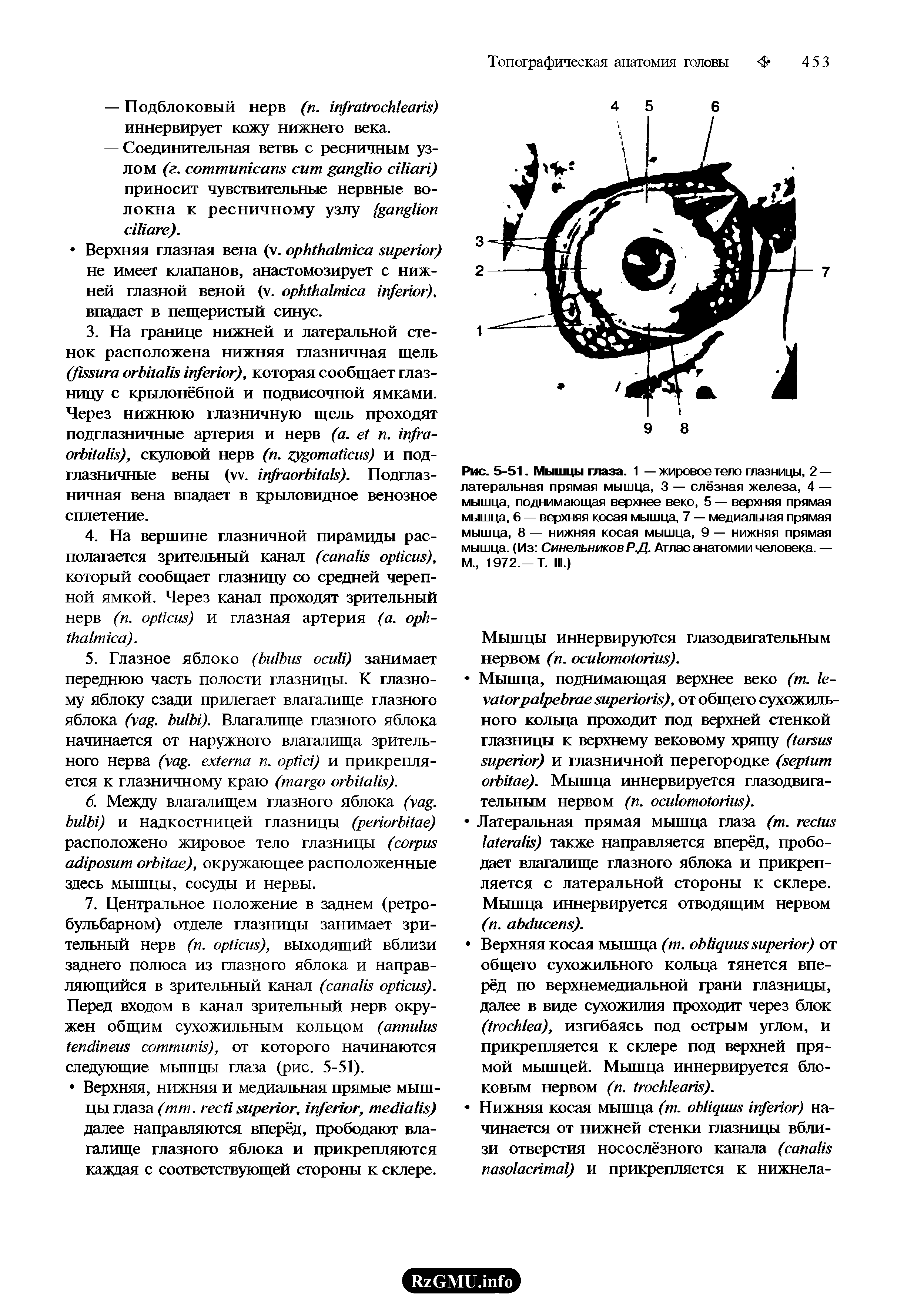 Рис. 5-51. Мышцы глаза. 1 — жировое тело глазницы, 2 — латеральная прямая мышца, 3 — слёзная железа, 4 — мышца, поднимающая верхнее веко, 5 — верхняя прямая мышца, 6 — верхняя косая мышца, 7 — медиальная прямая мышца, 8 — нижняя косая мышца, 9 — нижняя прямая мышца. (Из Синельников Р.Д. Атлас анатомии человека. — М., 1972.-Т. III.)...