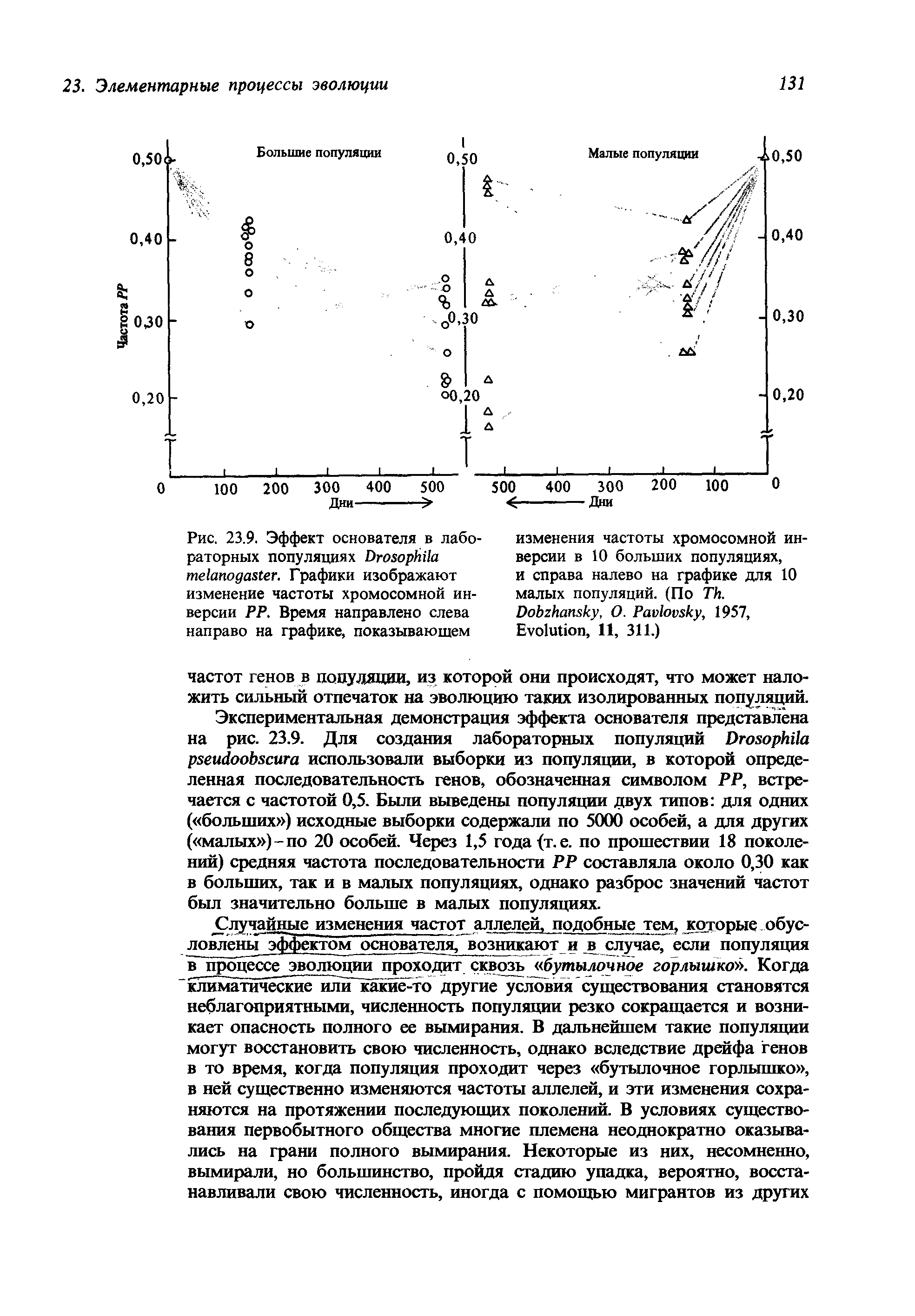 Рис. 23.9. Эффект основателя в лабораторных популяциях D . Графики изображают изменение частоты хромосомной инверсии РР. Время направлено слева направо на графике, показывающем...