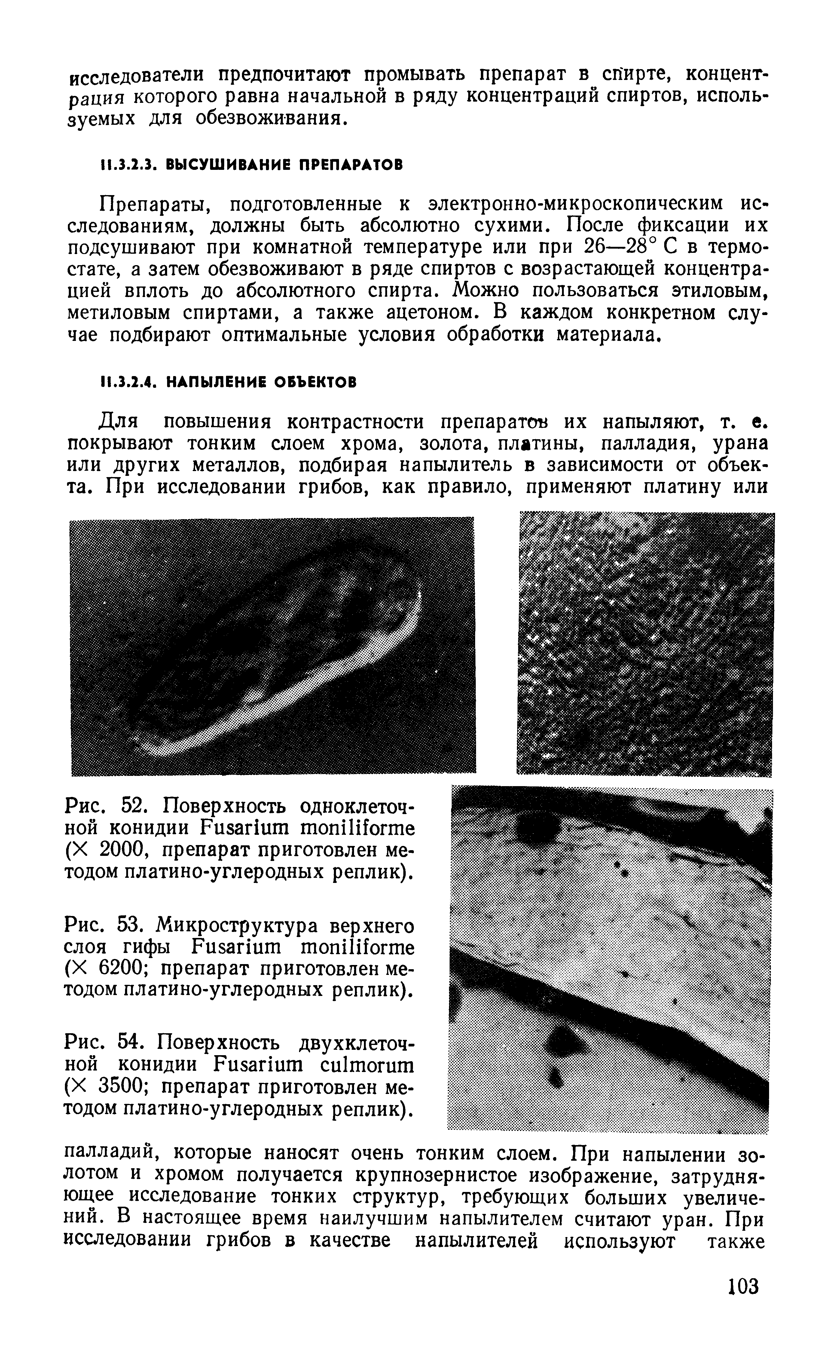 Рис. 53. Микроструктура верхнего слоя гифы F (X 6200 препарат приготовлен методом платино-углеродных реплик).