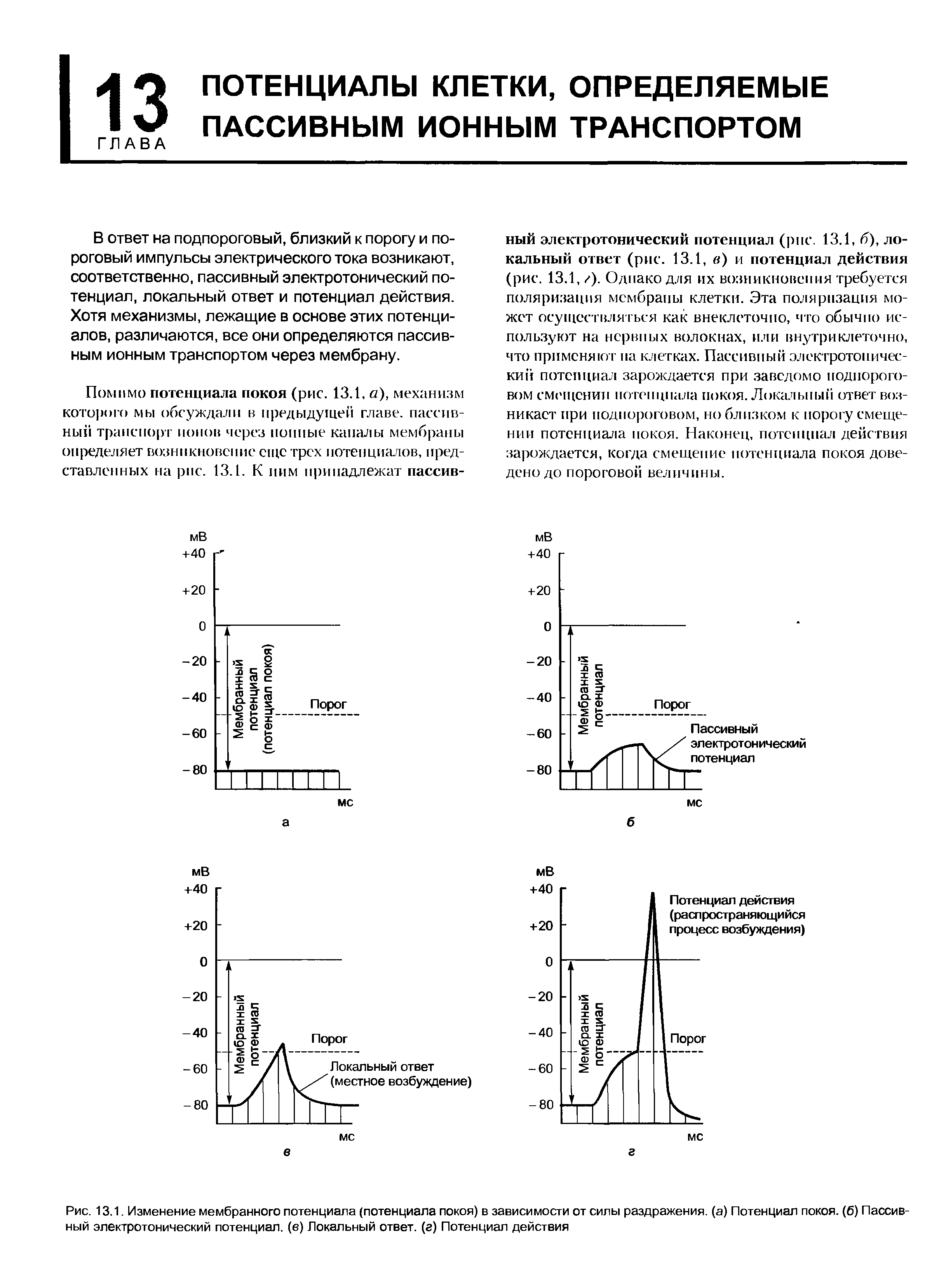 Рис. 13.1. Изменение мембранного потенциала (потенциала покоя) в зависимости от силы раздражения, (а) Потенциал покоя, (б) Пассивный электротонический потенциал, (е) Локальный ответ, (а) Потенциал действия...