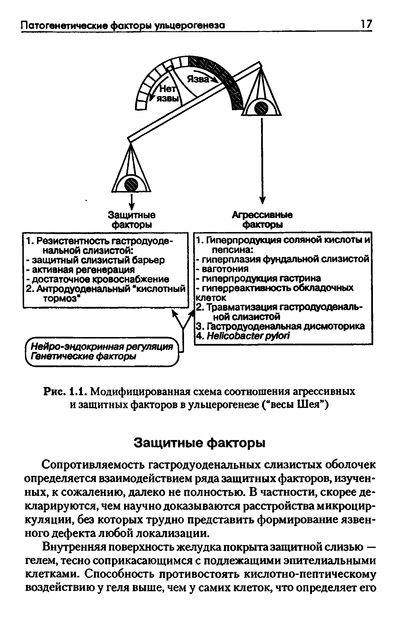 Рис. 1.1. Модифицированная схема соотношения агрессивных и защитных факторов в ульцерогенезе ( весы Шея )...