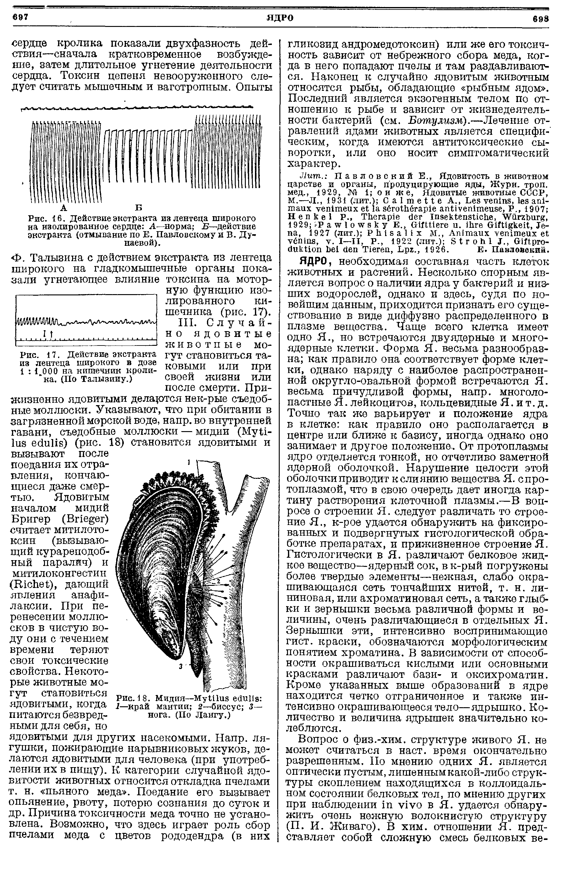 Рис. 16. Действие экстракта из лентеца широкого на изолированное сердце А—норма Б—действие экстракта (отмывание по Е. Павловскому и В. Дунаевой).