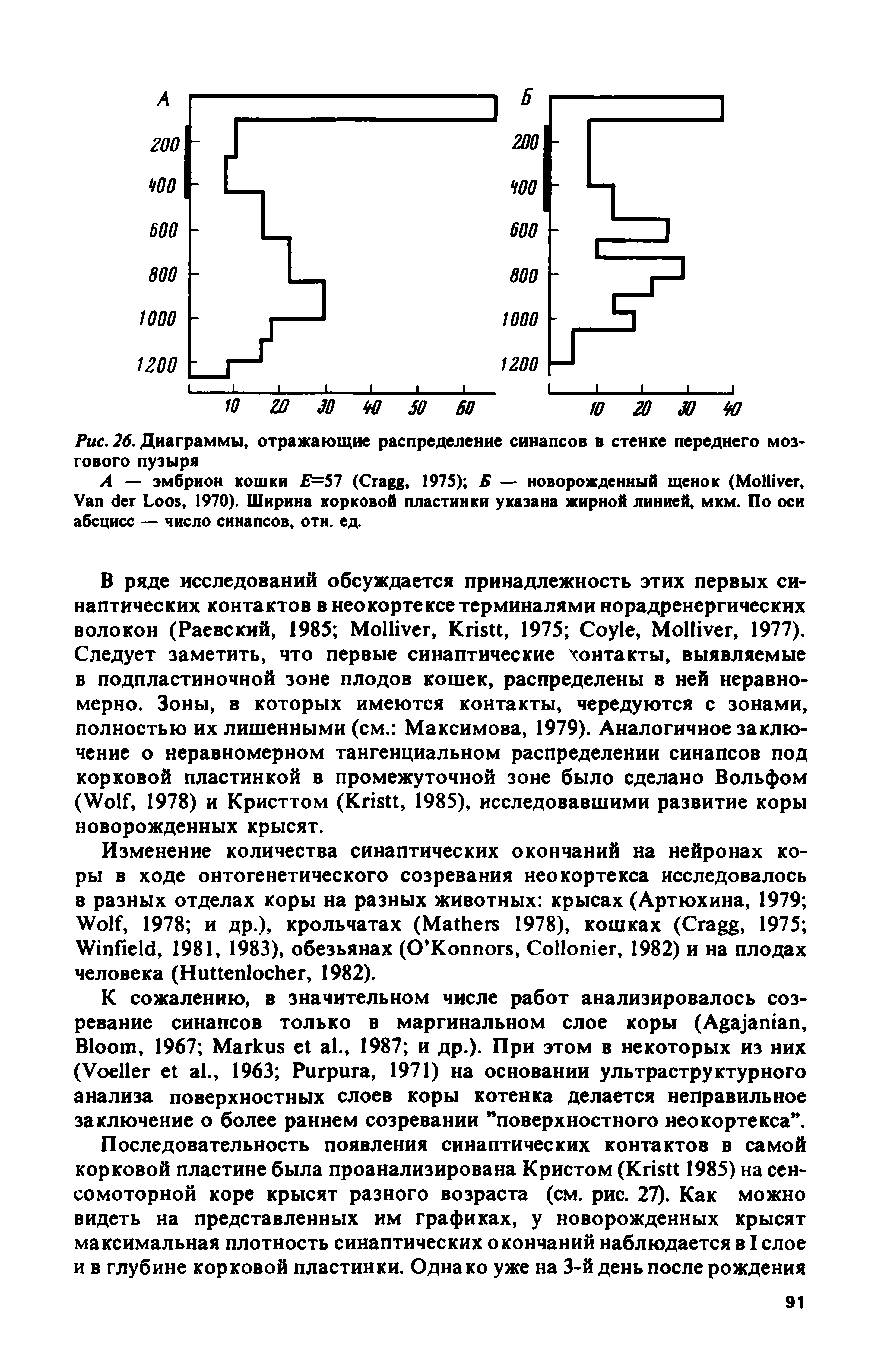 Рис. 26. Диаграммы, отражающие распределение синапсов в стенке переднего мозгового пузыря...