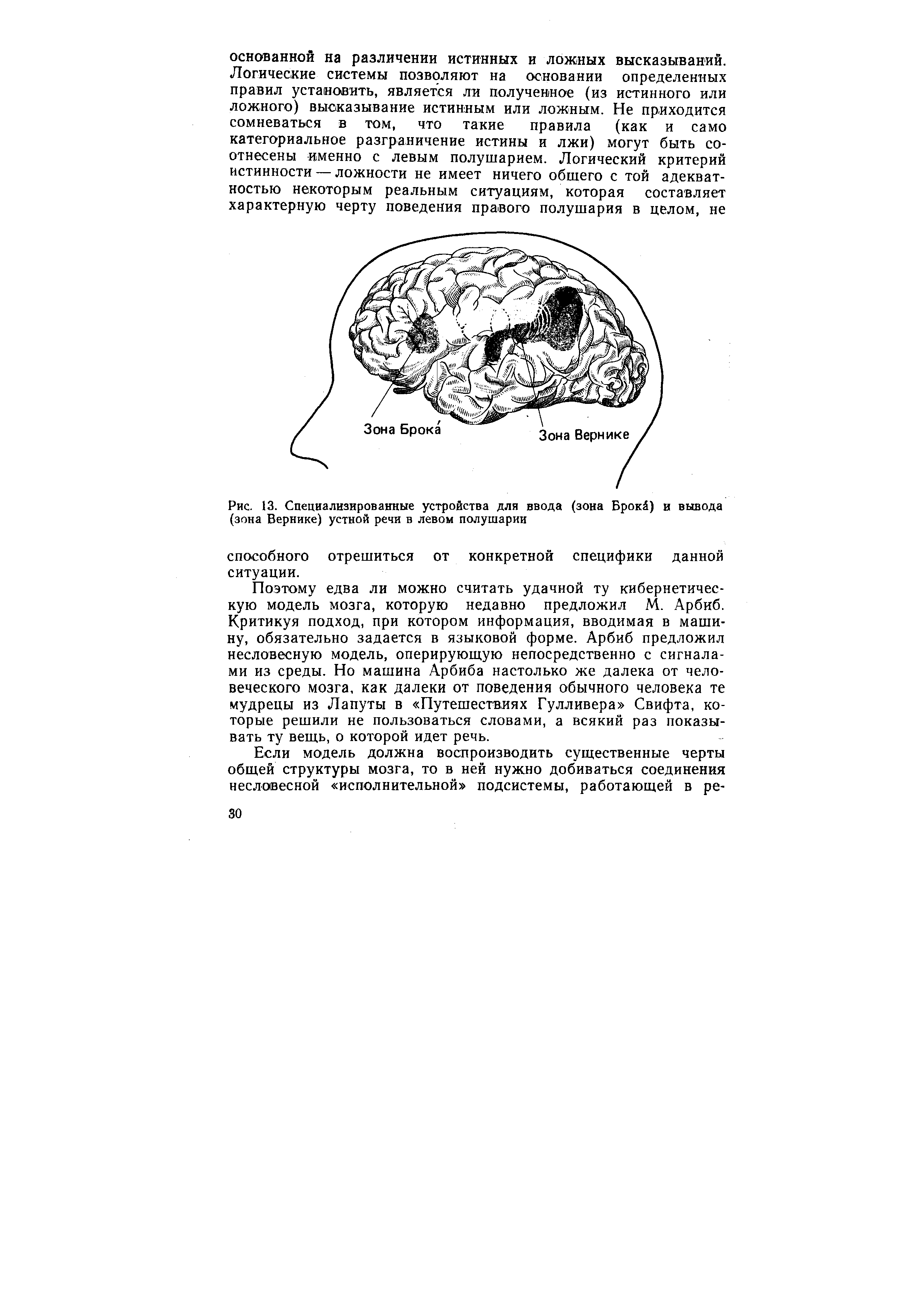 Рис. 13. Специализированные устройства для ввода (зона Брокй) и вывода (зона Вернике) устной речи в левом полушарии...