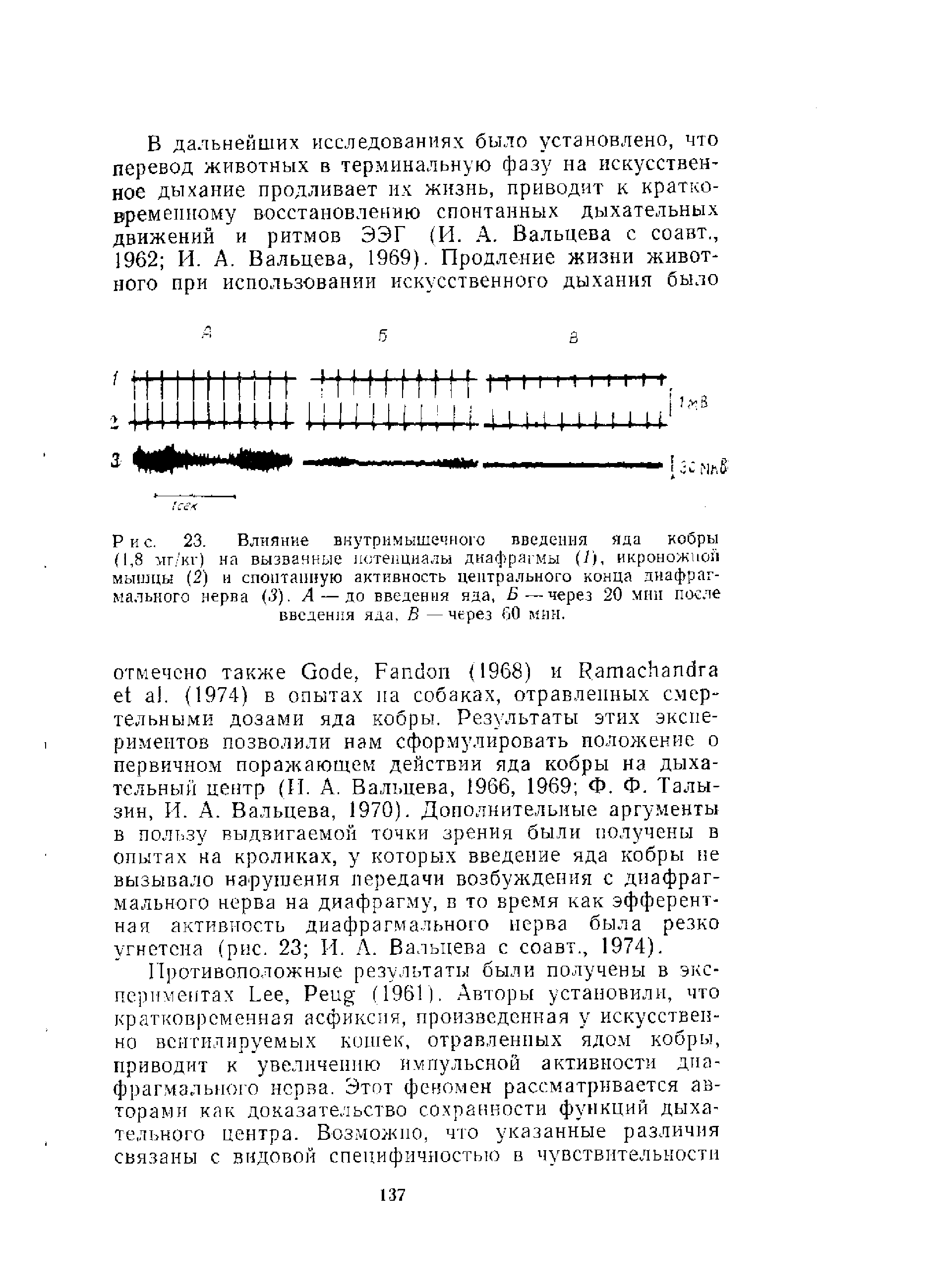 Рис. 23. Влияние внутримышечного введения яда кобры (1,8 мг/кг) на вызванные потенциалы диафрагмы ((), икроножной мышцы (2) и спонтанную активность центрального конца диафрагмального нерва (3). А — до введения яда, Б—через 20 мин после введения яда. В — через 60 мин.