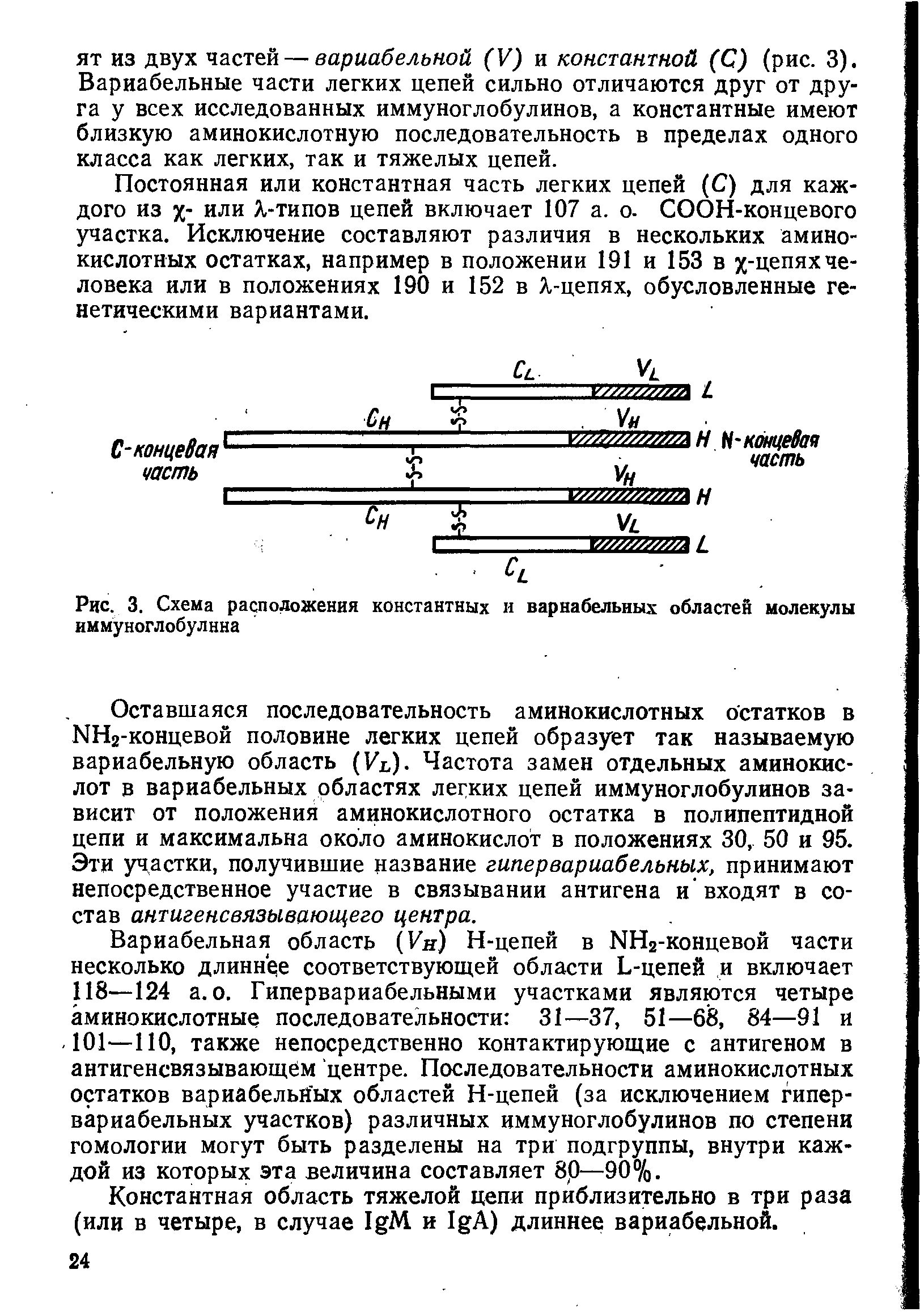 Рис. 3. Схема расположения константных и вариабельных областей молекулы иммуноглобулина...