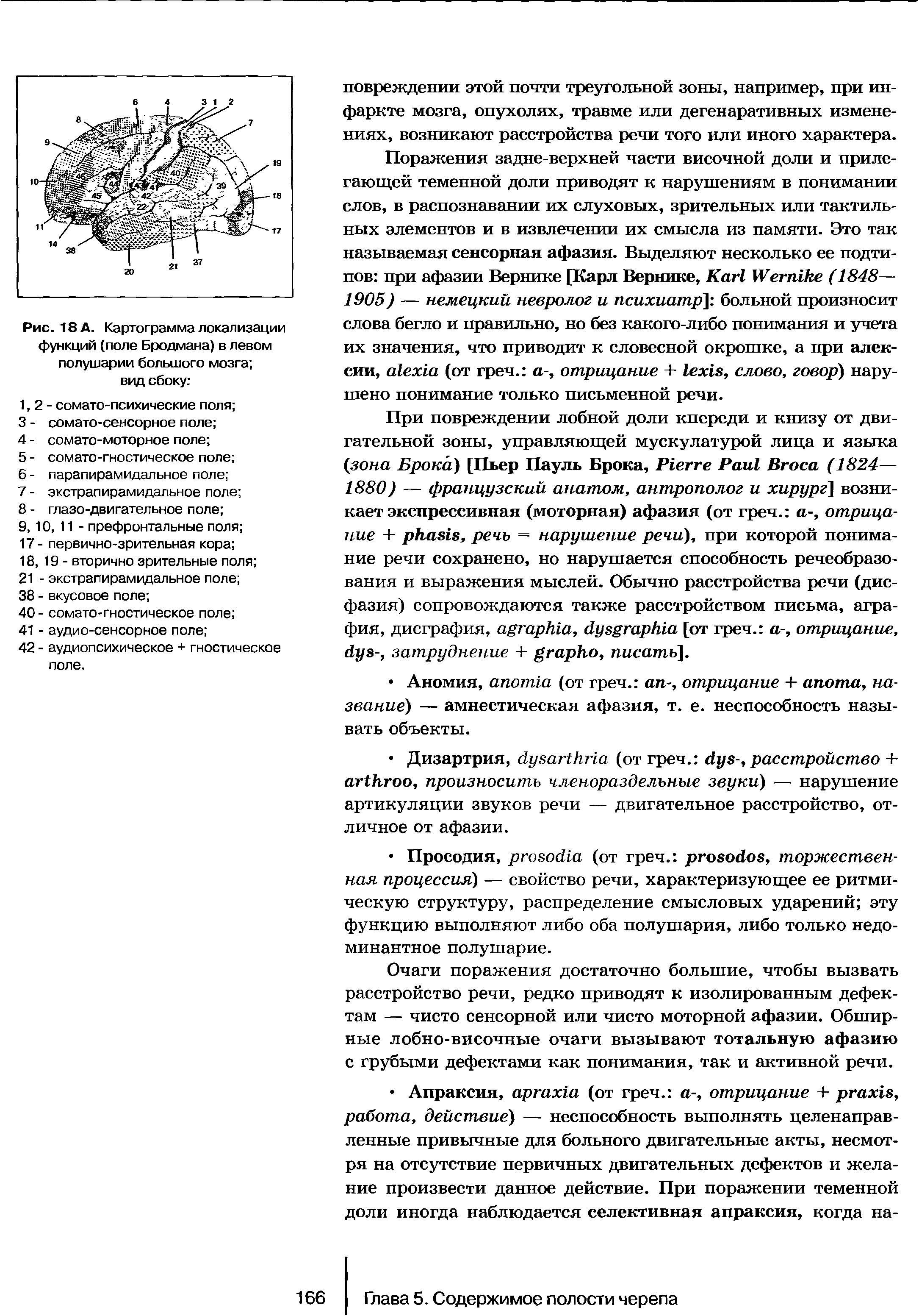 Рис. 18 А. Картограмма локализации функций (поле Бродмана) в левом полушарии большого мозга вид сбоку ...