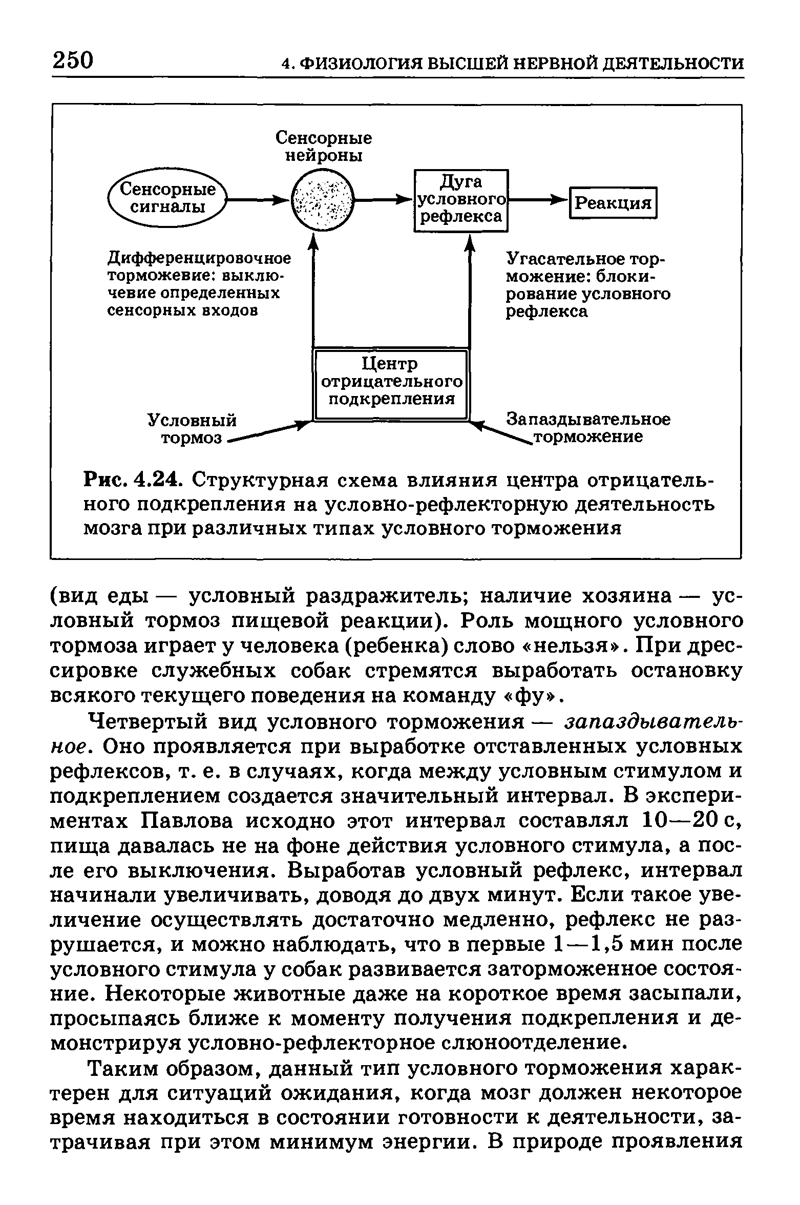 Рис. 4.24. Структурная схема влияния центра отрицательного подкрепления на условно-рефлекторную деятельность мозга при различных типах условного торможения...