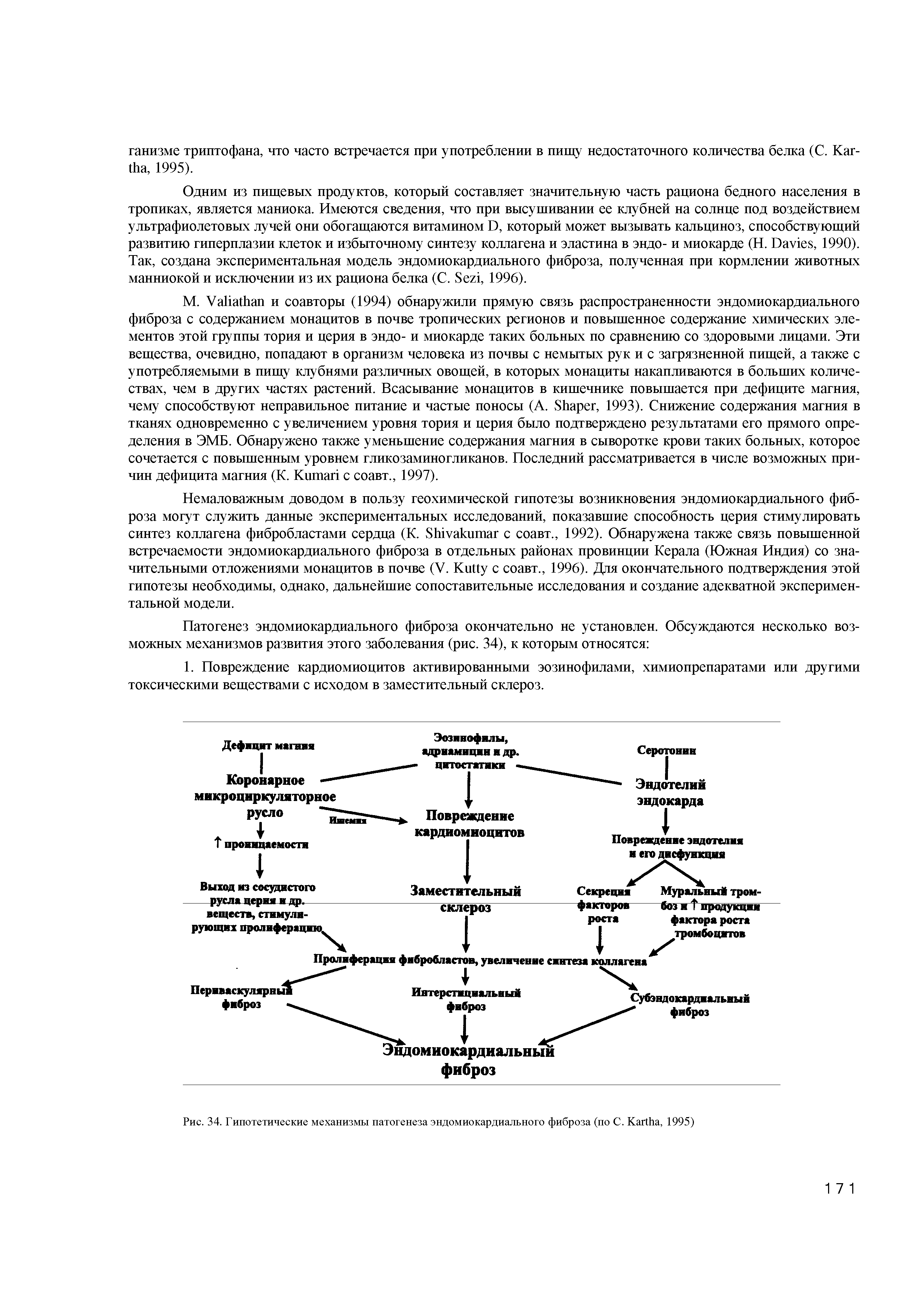 Рис. 34. Гипотетические механизмы патогенеза эндомиокардиального фиброза (по С. K , 1995)...