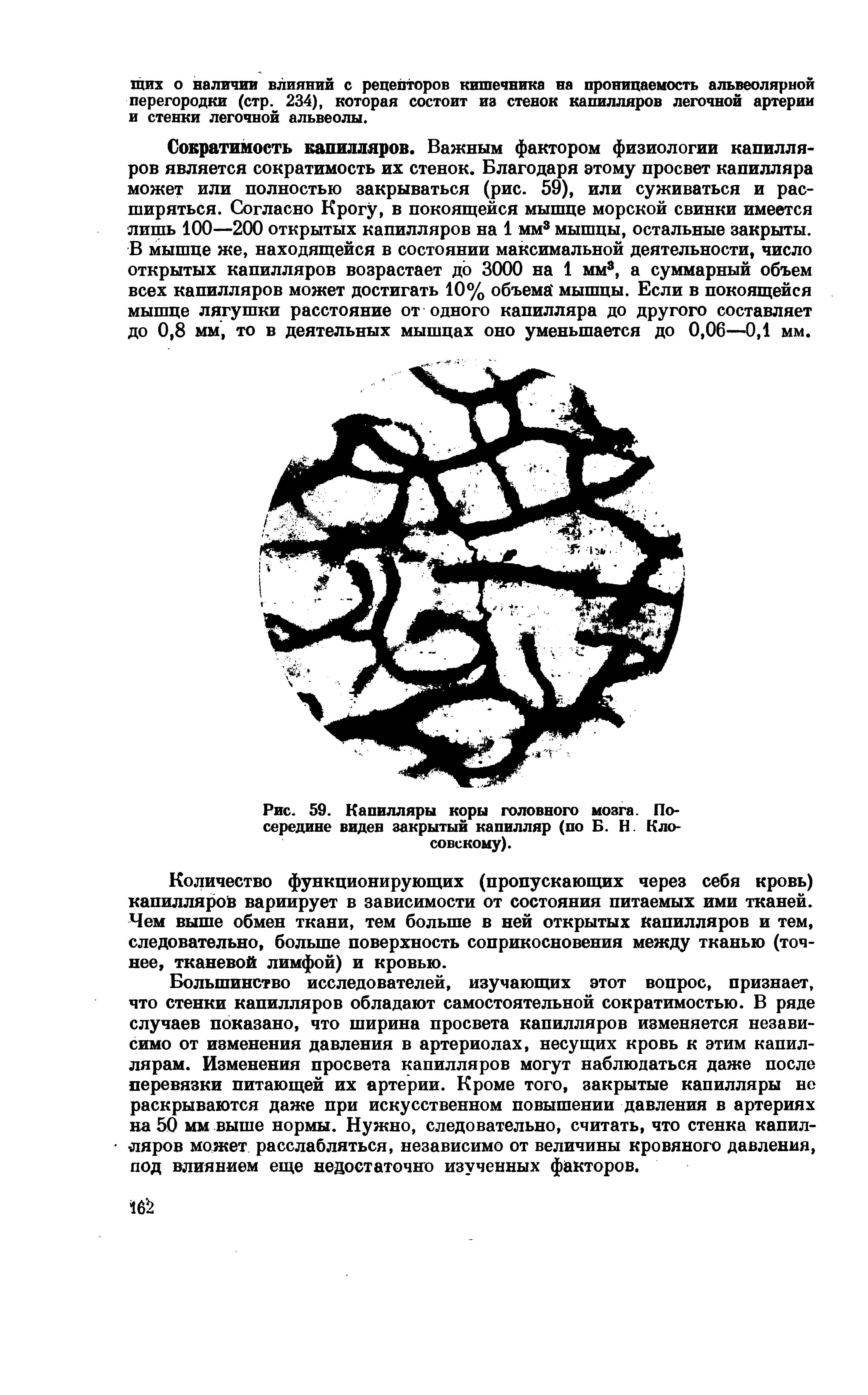 Рис. 59. Капилляры коры головного мозга. Посередине видев закрытый капилляр (по Б. Н К досовскому).