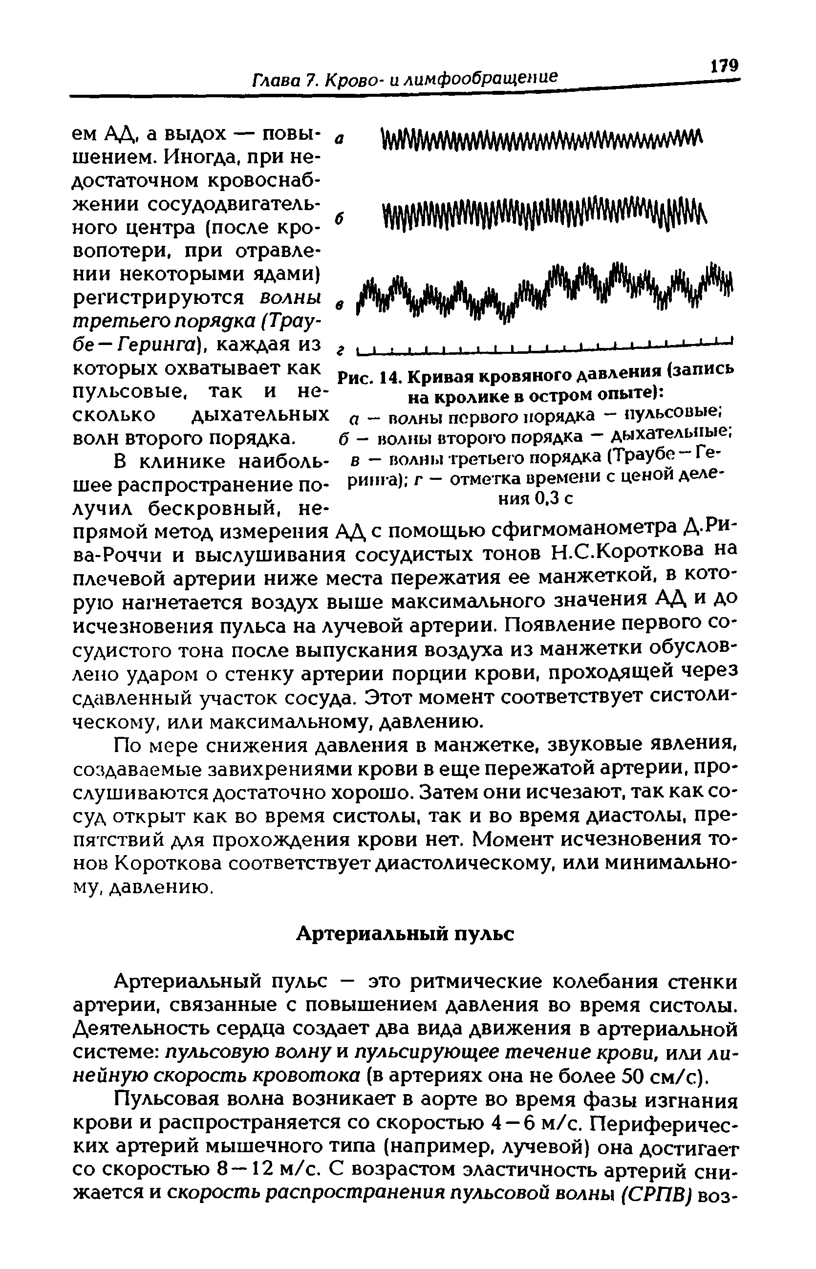 Рис. 14. Кривая кровяного давления (запись на кролике в остром опыте) а — полны первого порядка — пульсовые,...