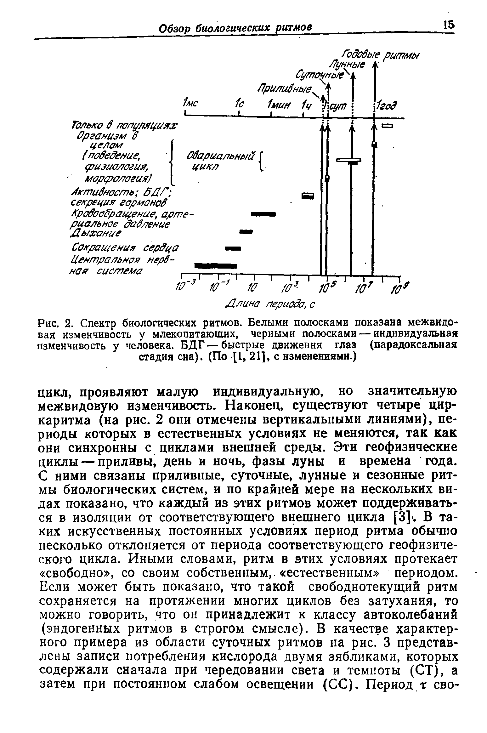 Рис. 2. Спектр биологических ритмов. Белыми полосками показана межвидовая изменчивость у млекопитающих, черными полосками — индивидуальная изменчивость у человека. БДГ — быстрые движения глаз (парадоксальная стадия сна). (По [1, 21], с изменениями.)...