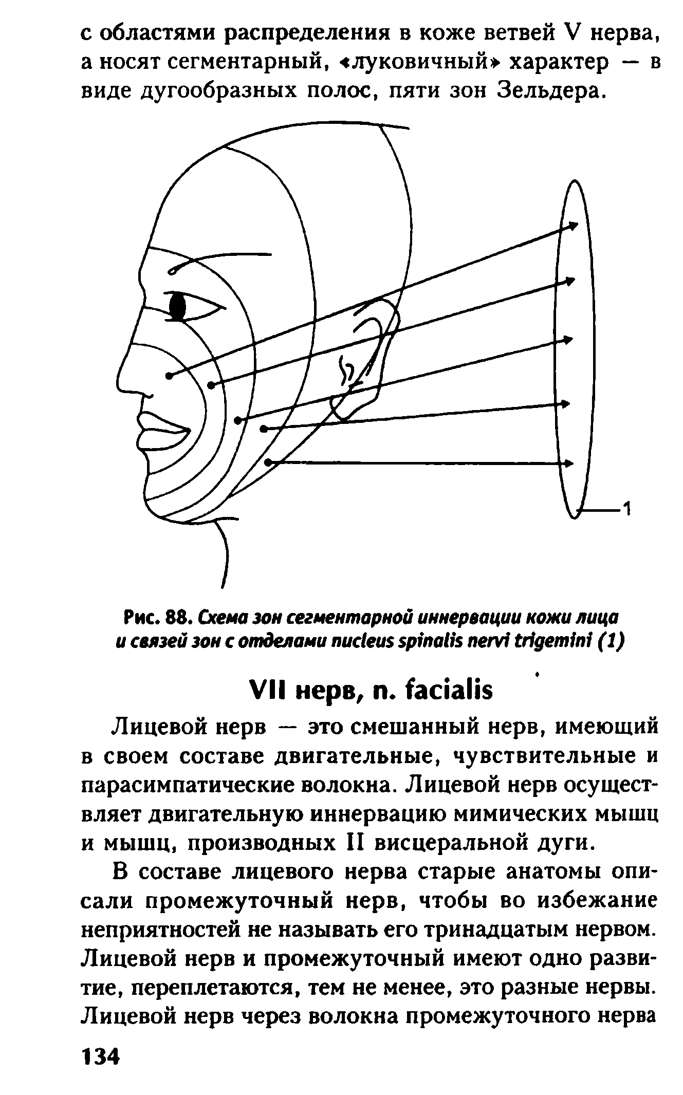 Рис. 88. Схема зон сегментарной иннервации кожи лица и связей зон с отделами (1)...