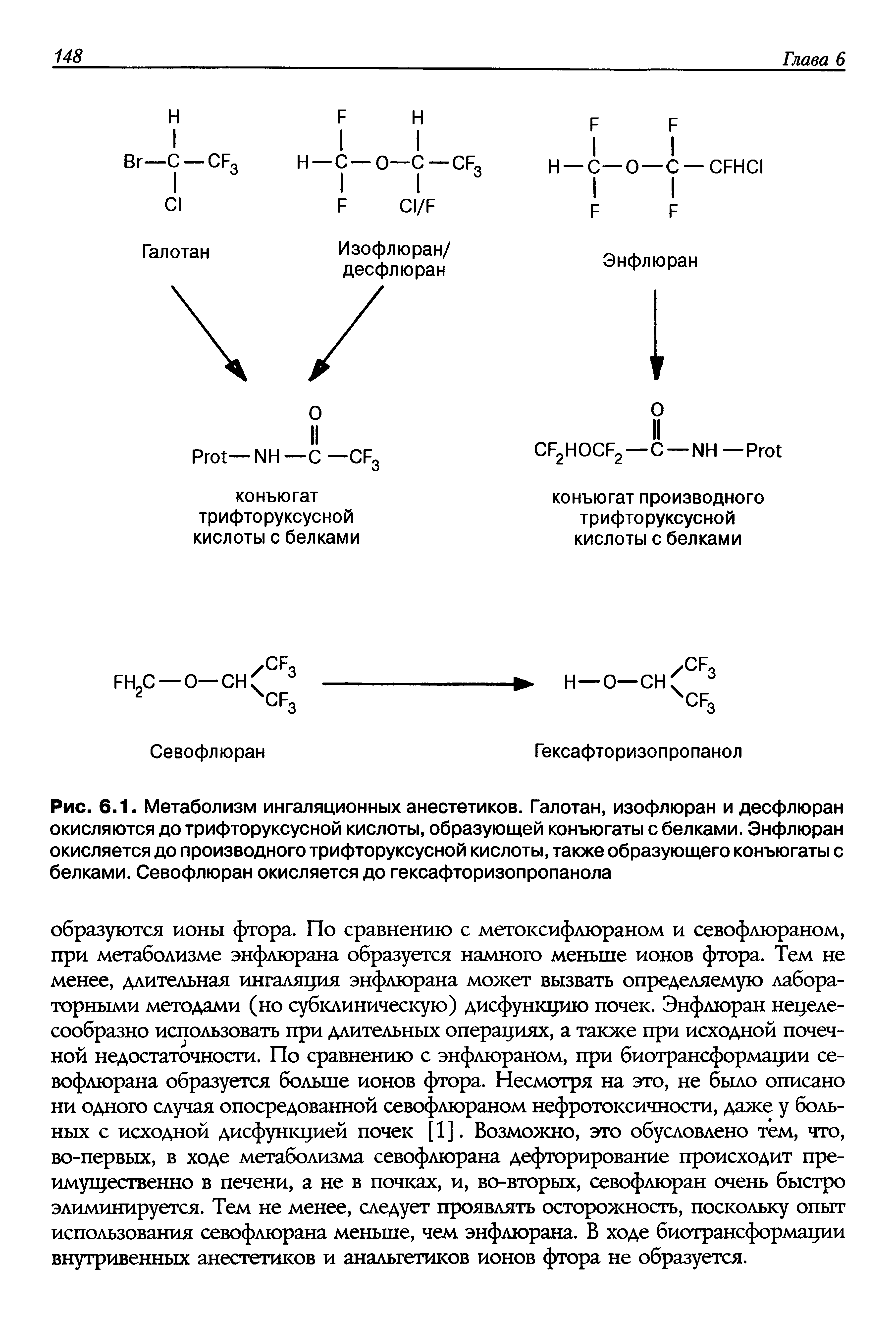 Рис. 6.1. Метаболизм ингаляционных анестетиков. Галотан, изофлюран и десфлюран окисляются до трифторуксусной кислоты, образующей конъюгаты с белками. Энфлюран окисляется до производного трифторуксусной кислоты, также образующего конъюгаты с белками. Севофлюран окисляется до гексафторизопропанола...
