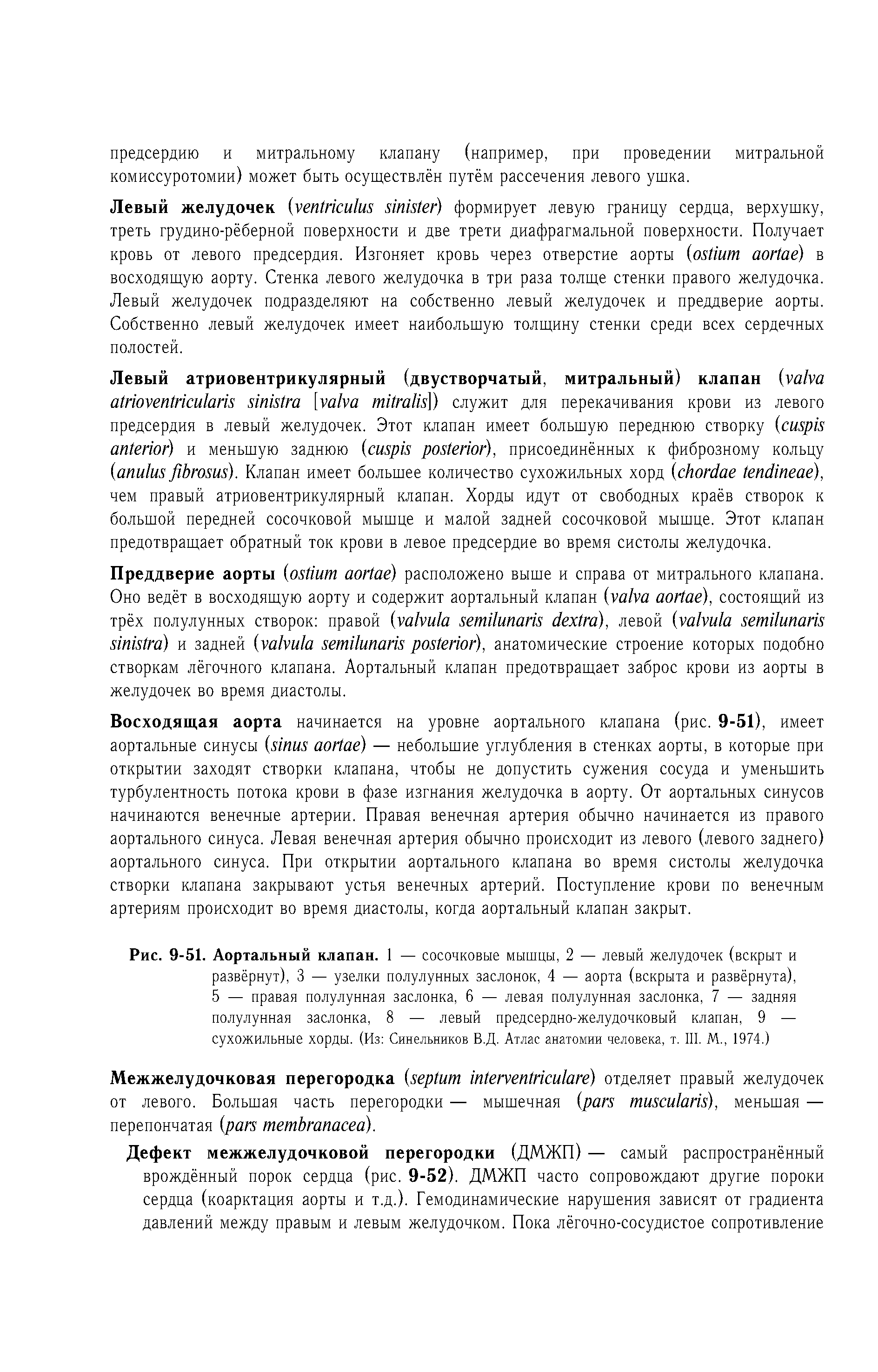 Рис. 9-51. Аортальный клапан. 1 — сосочковые мышцы, 2 — левый желудочек (вскрыт и развёрнут), 3 — узелки полулунных заслонок, 4 — аорта (вскрыта и развёрнута), 5 — правая полулунная заслонка, 6 — левая полулунная заслонка, 7 — задняя полулунная заслонка, 8 — левый предсердно-желудочковый клапан, 9 — сухожильные хорды. (Из Синельников В.Д. Атлас анатомии человека, т. III. М., 1974.)...